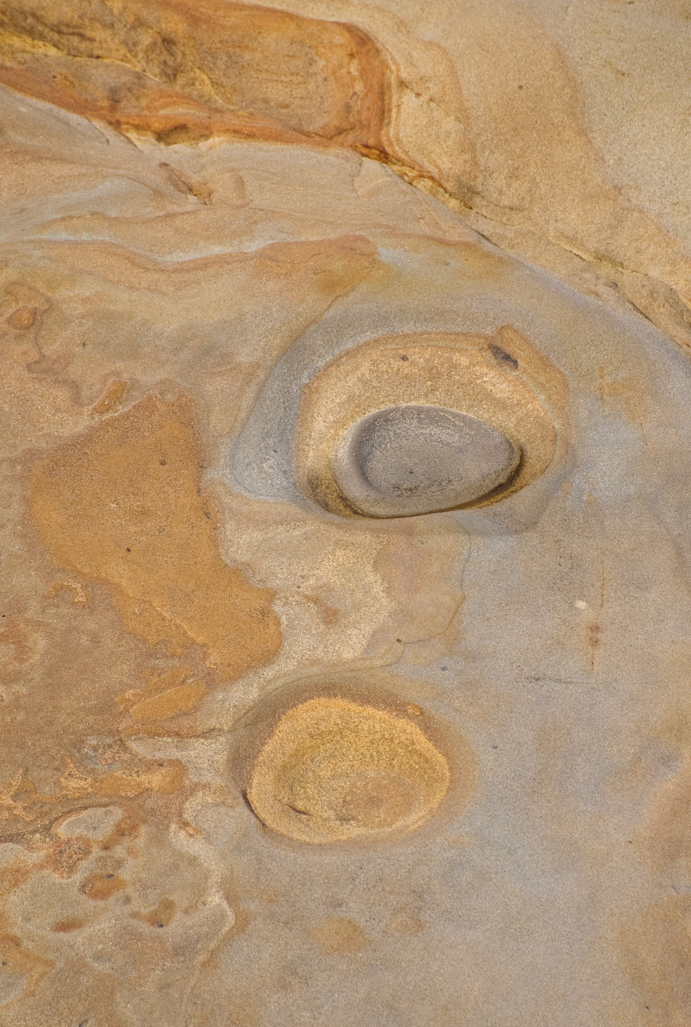 Rock forms, Point Lobos, California, 2009