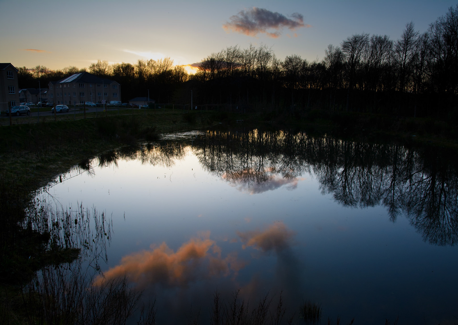 SUDS pond, Sinclair Gardens, Roslin, 2024