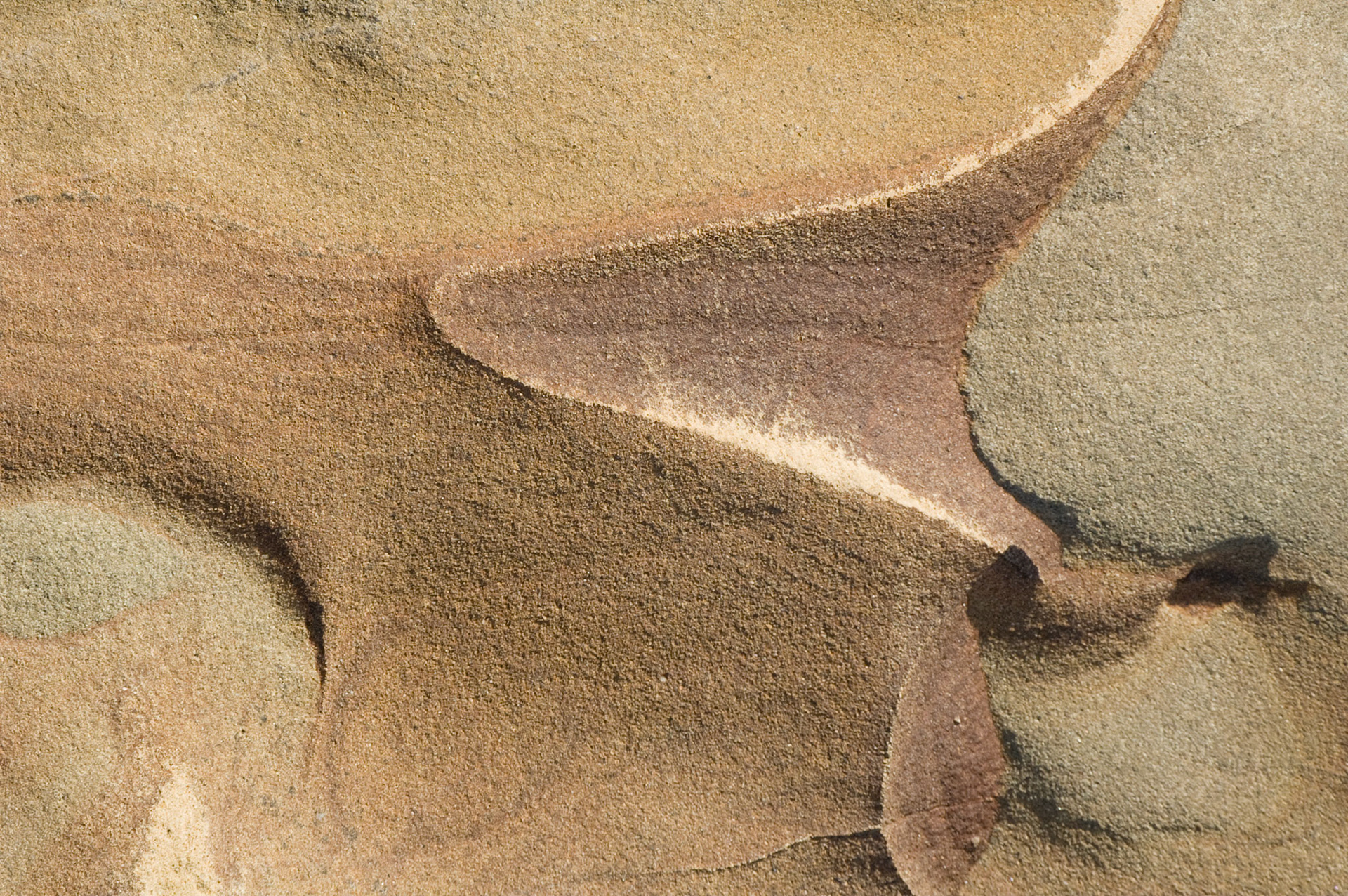 Rocks, Point Lobos, California, April 2007