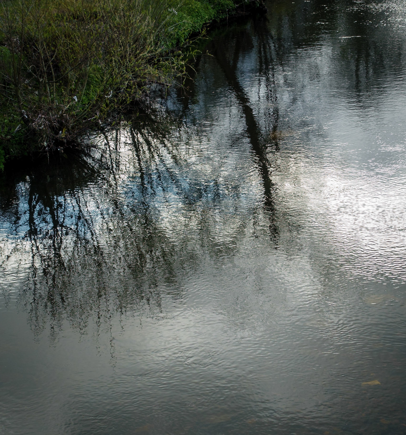 River North Esk at Lasswade, 2021