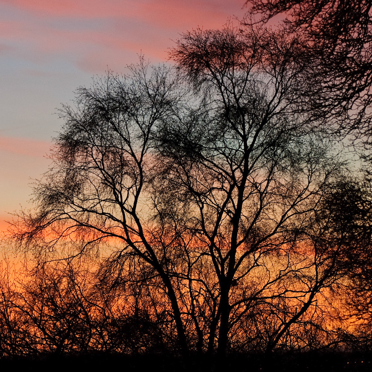Sunrise, Broomieknowe, Lasswade, Midlothian, 2010