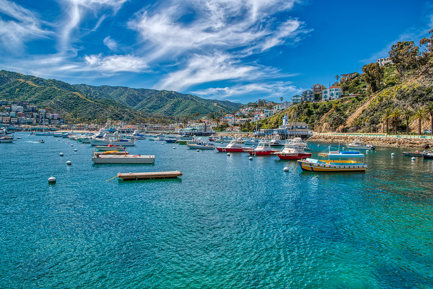 Catalina Island, San Diego, California