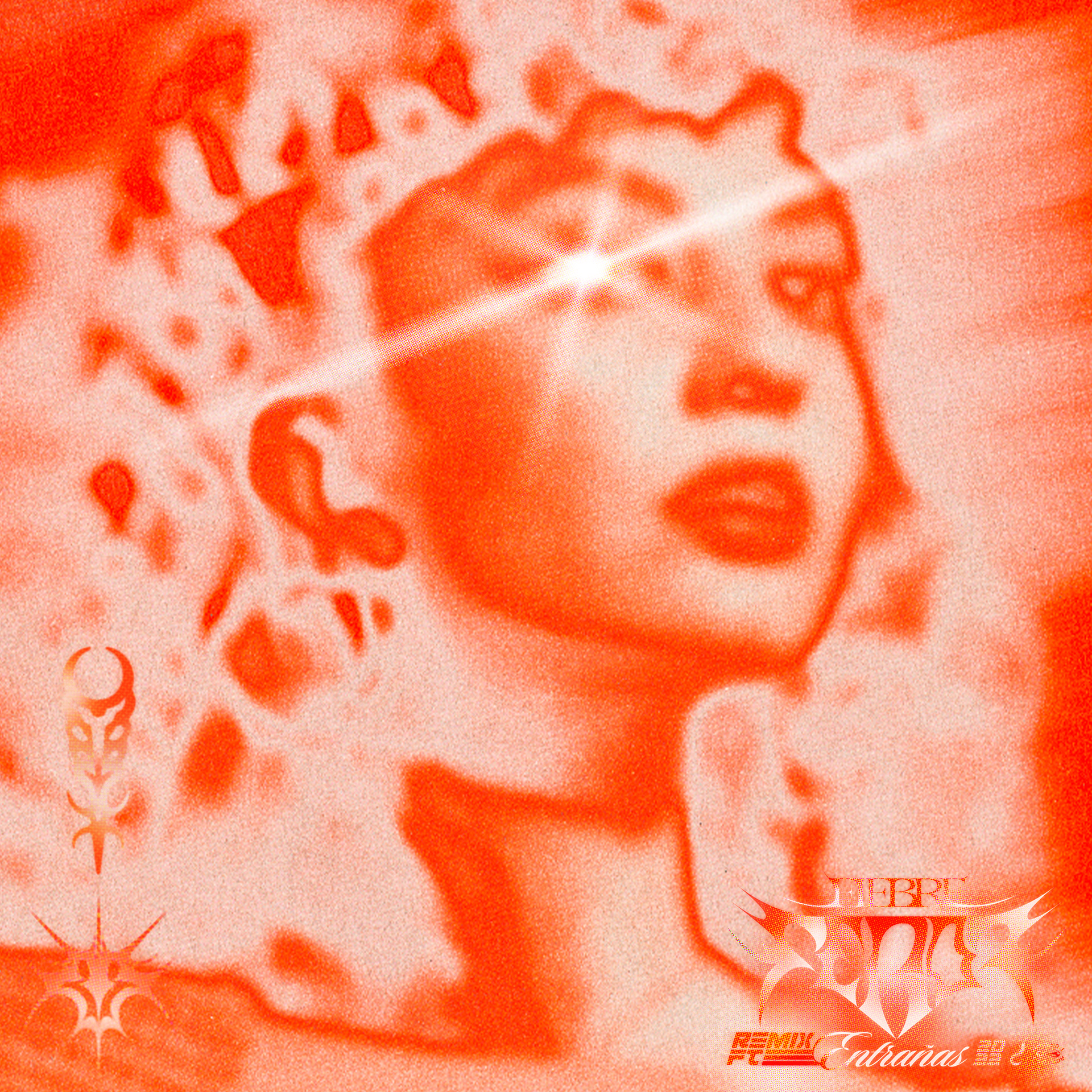 FEROZ Entrañas Remix - 2022