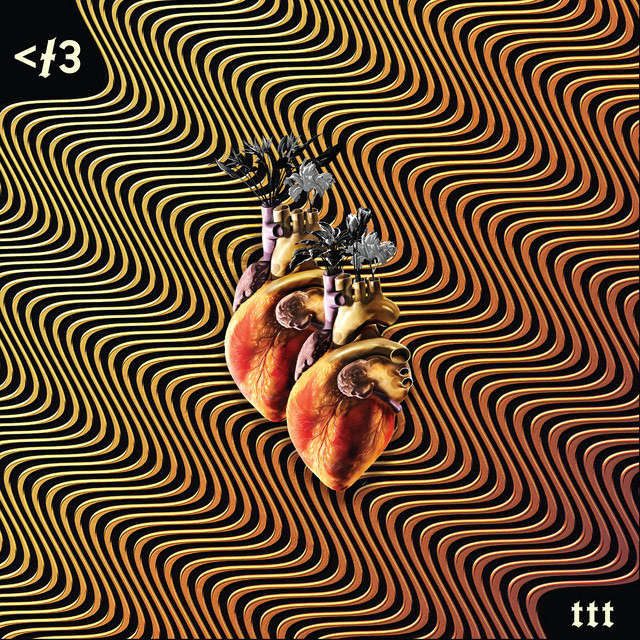 <t3 - Tayos Tayos Tayos