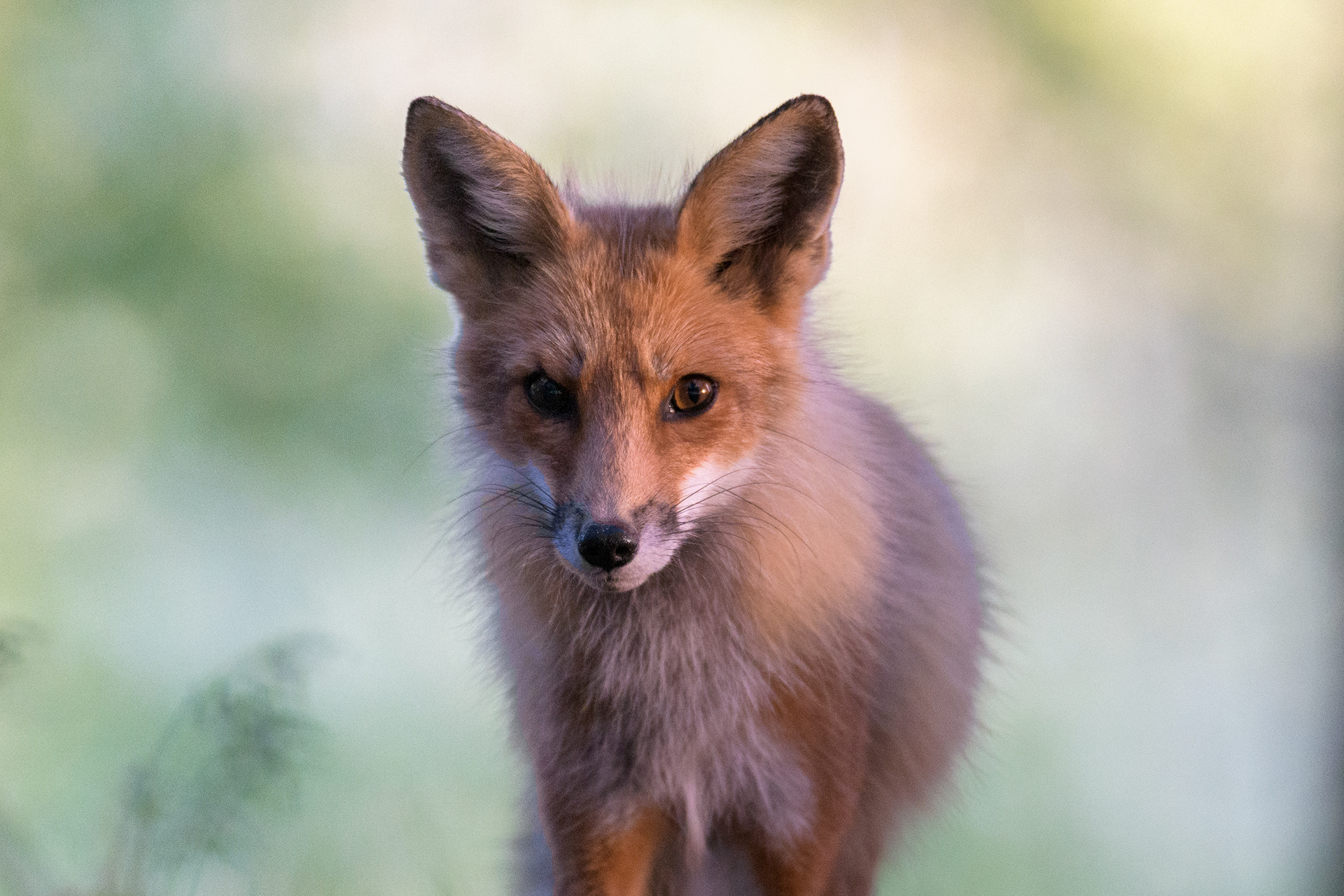 A la croisée des regards