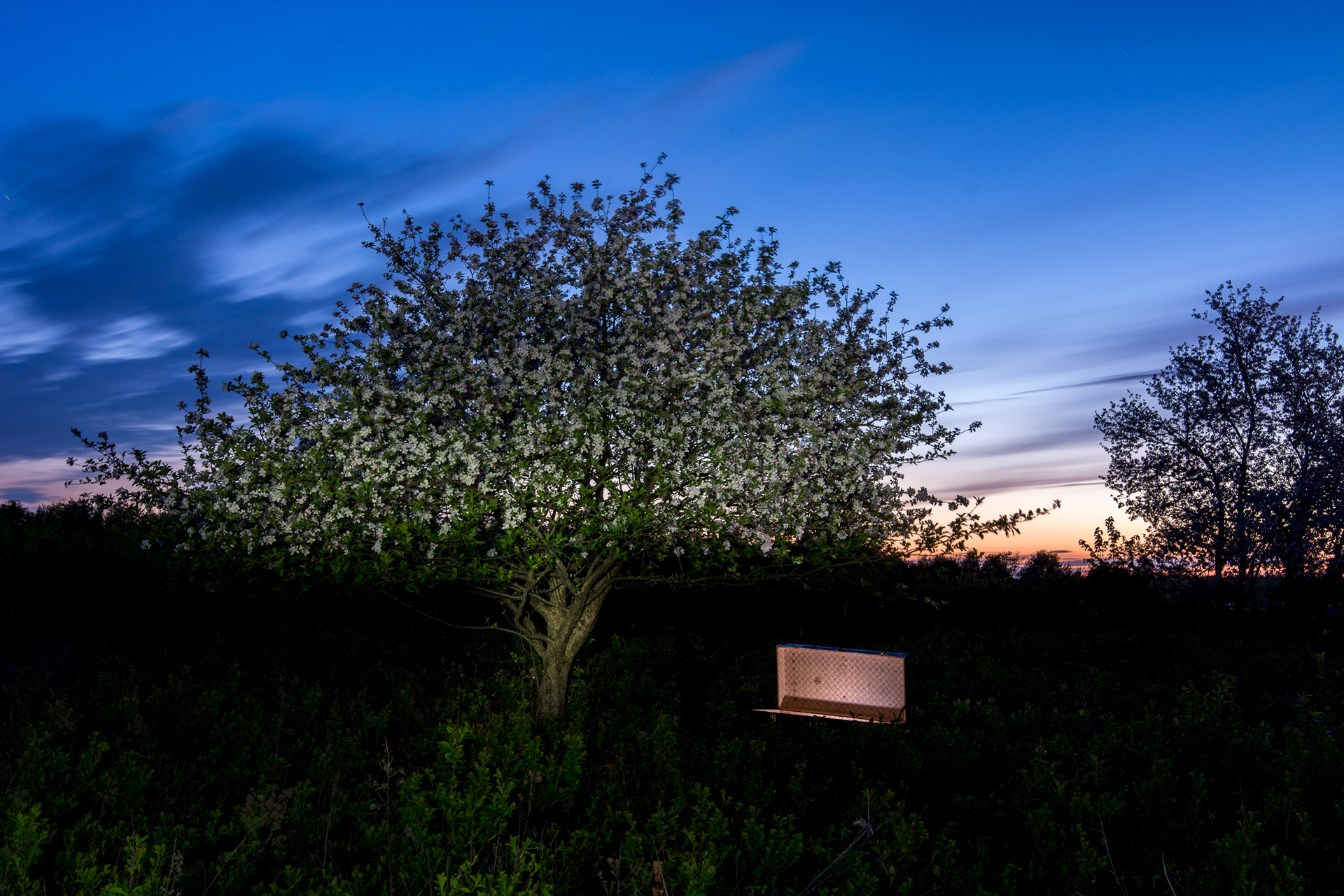 Qu'y tourverais-je ? (2)