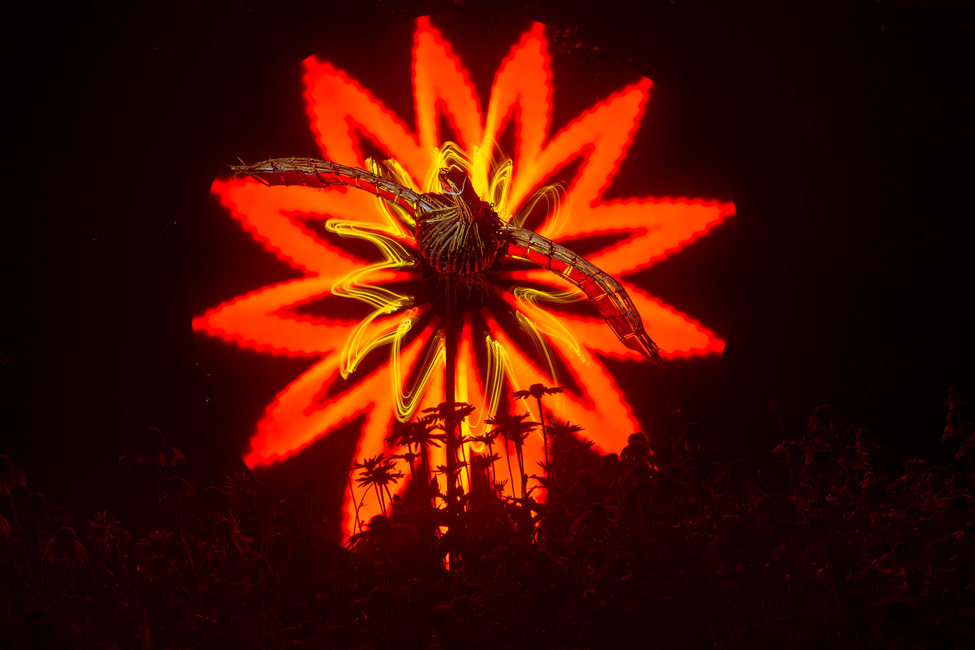 Le retour du phénix