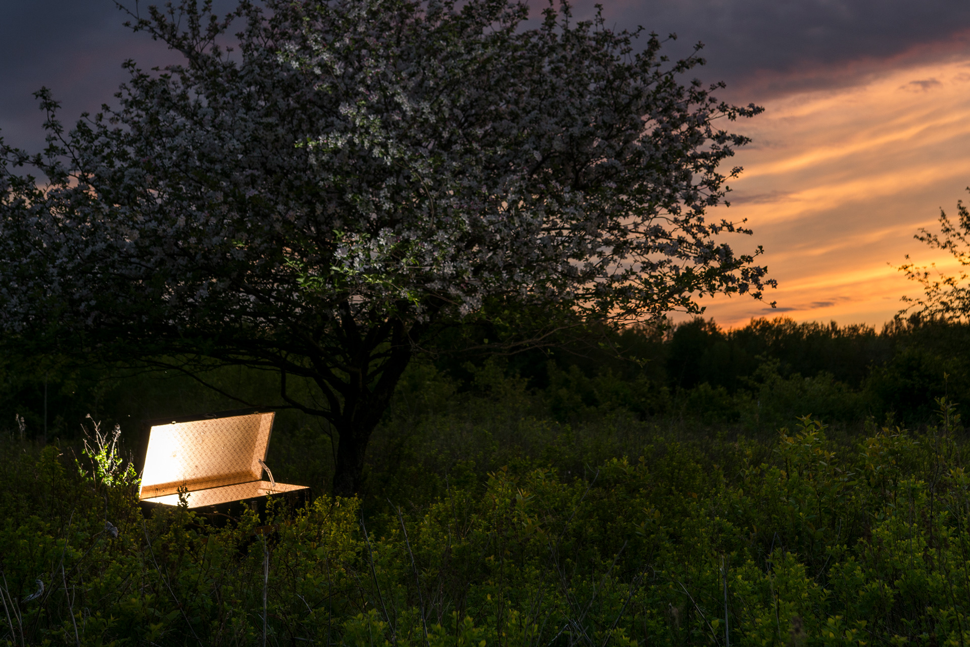 Qu'y tourverais-je ? (1)