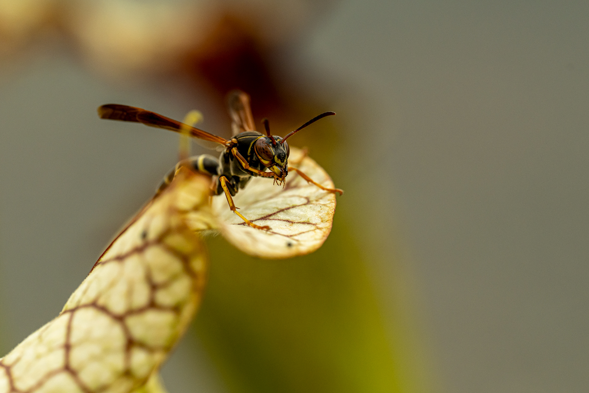 Toilette en milieu hostile