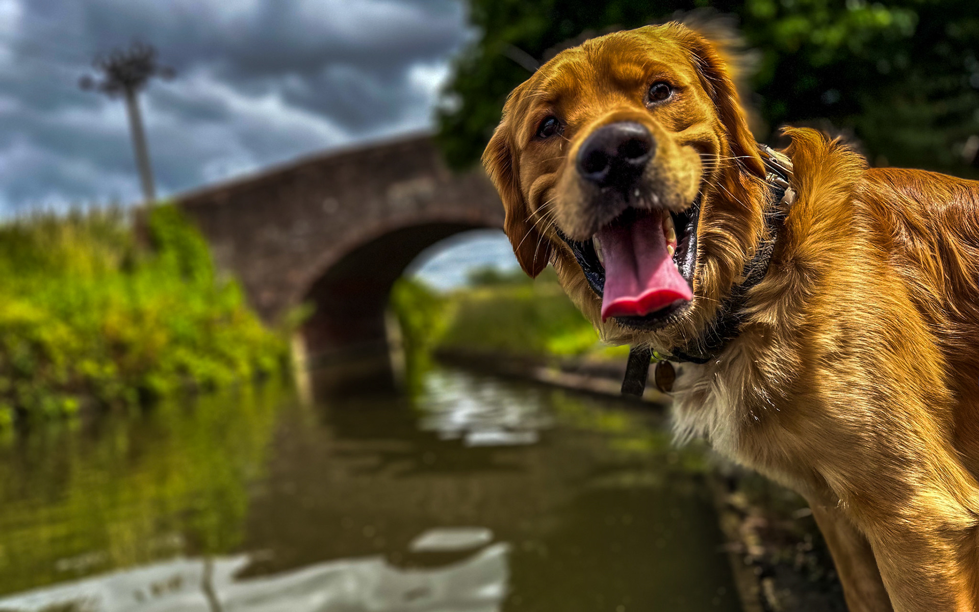 Birmingham and Fazeley Canal at Minworth