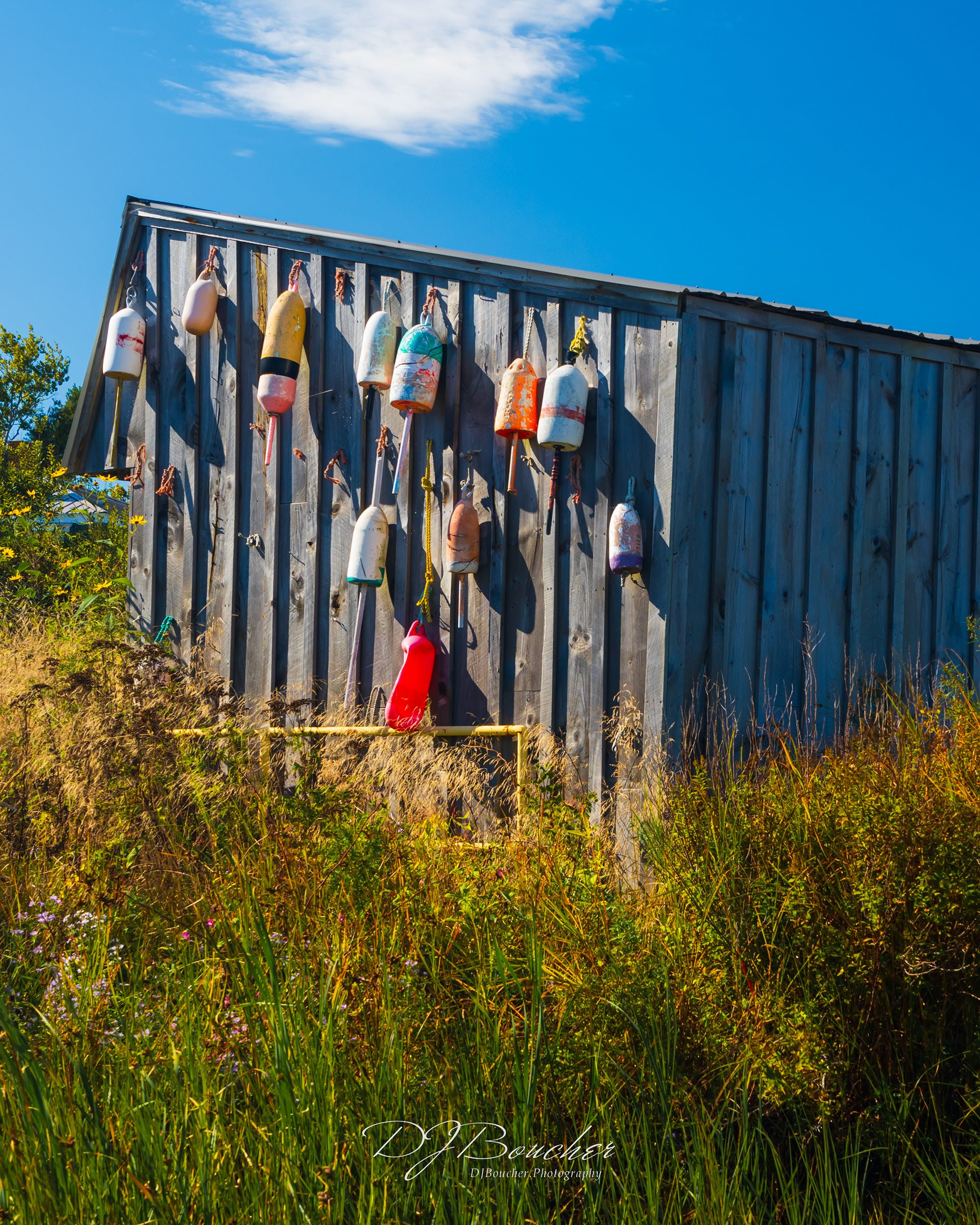 Owls Head Warf Maine