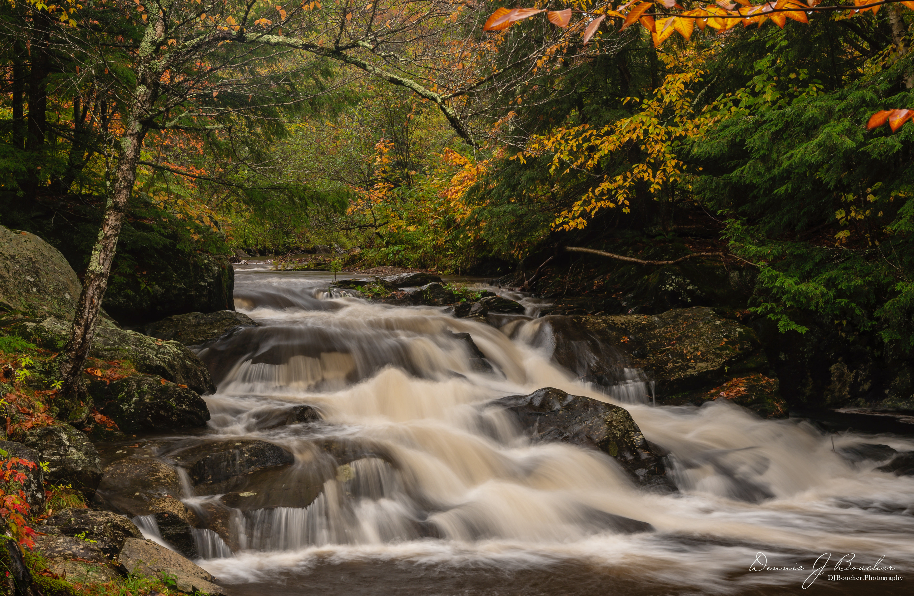 Warren Falls Vermont