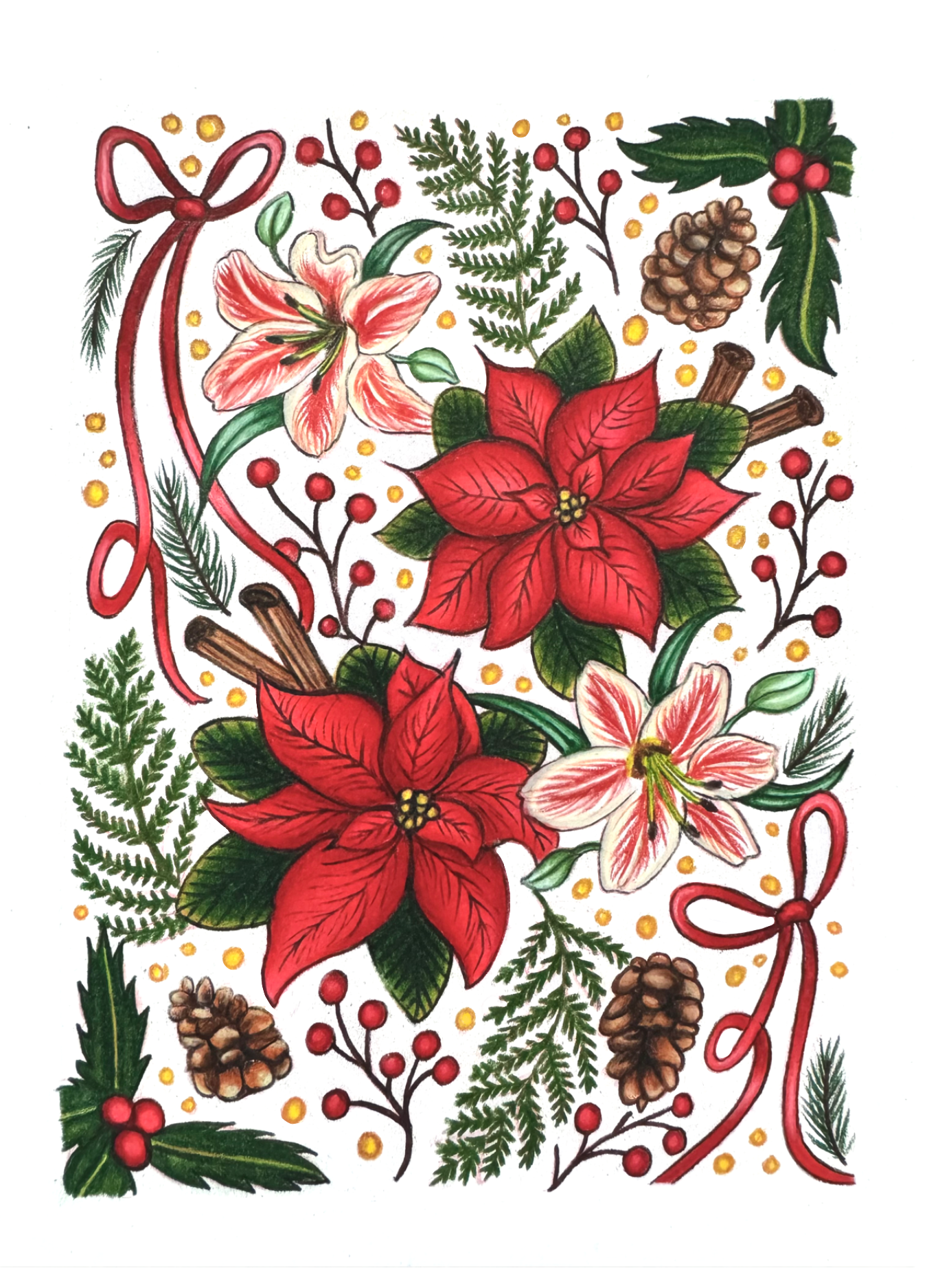 Botanical Holiday card - pencil crayon (2025)