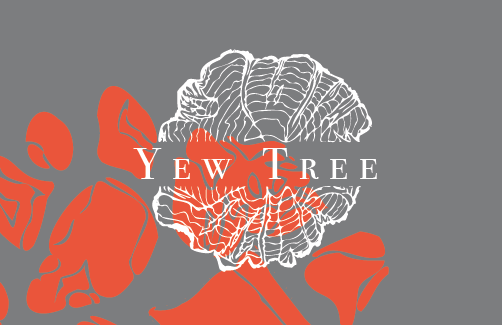 Yew Tree Buisness Card
