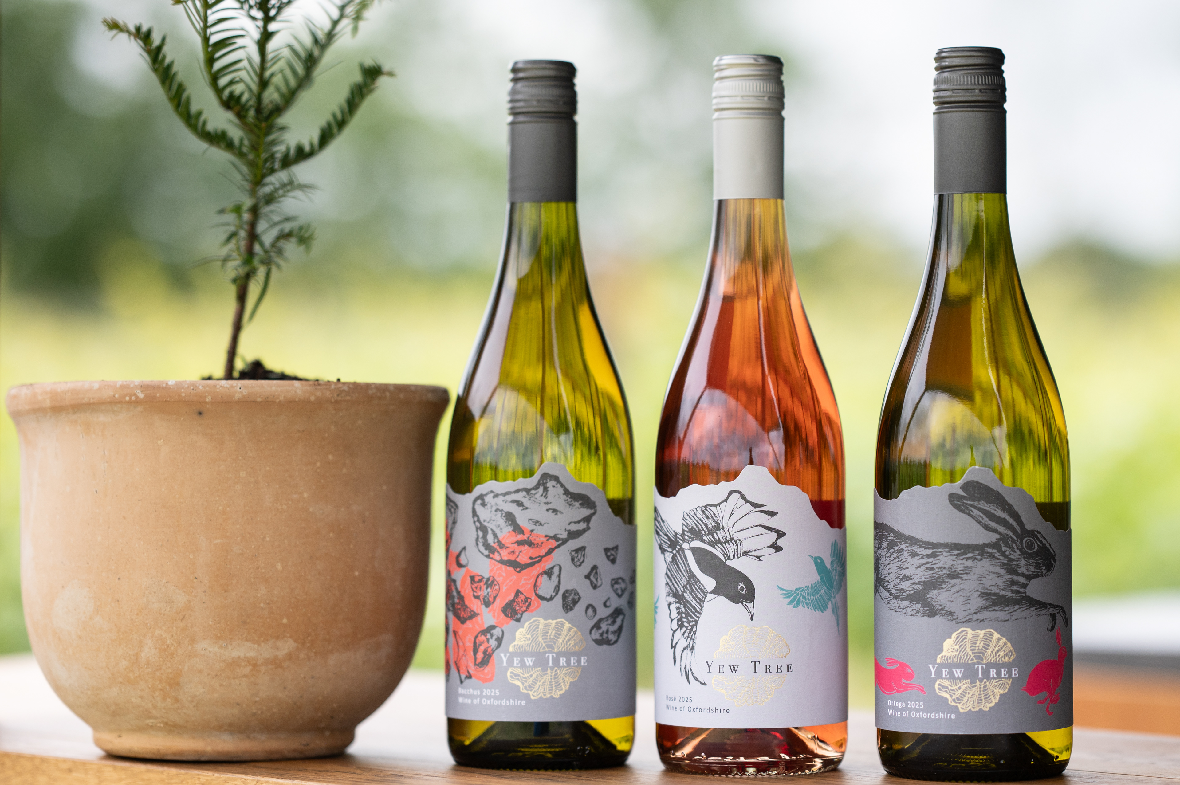 Yew Tree Labels