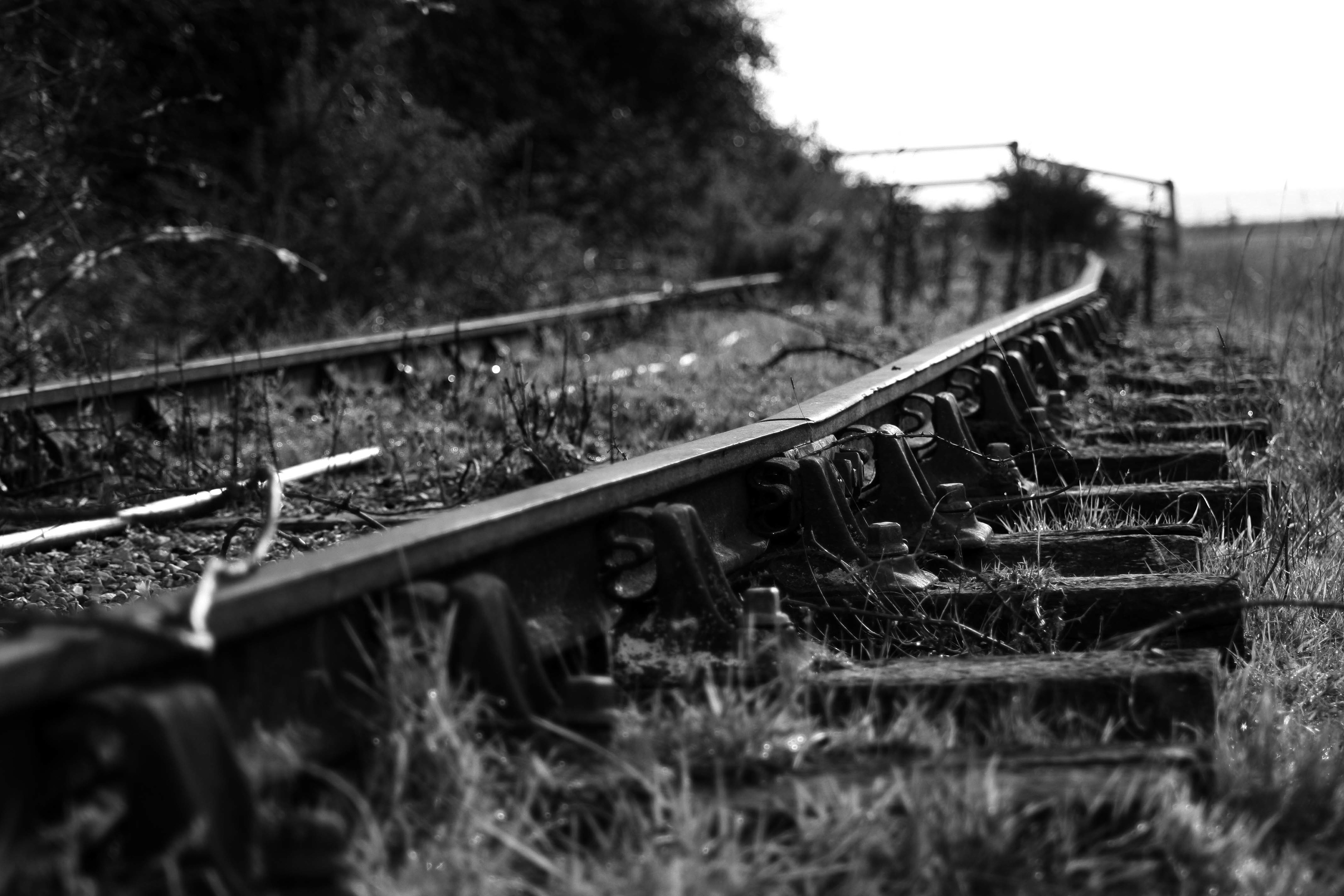End of the LIne
