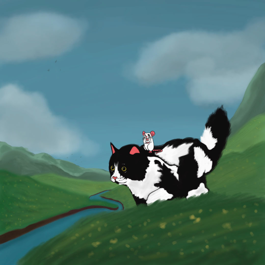 Adventure