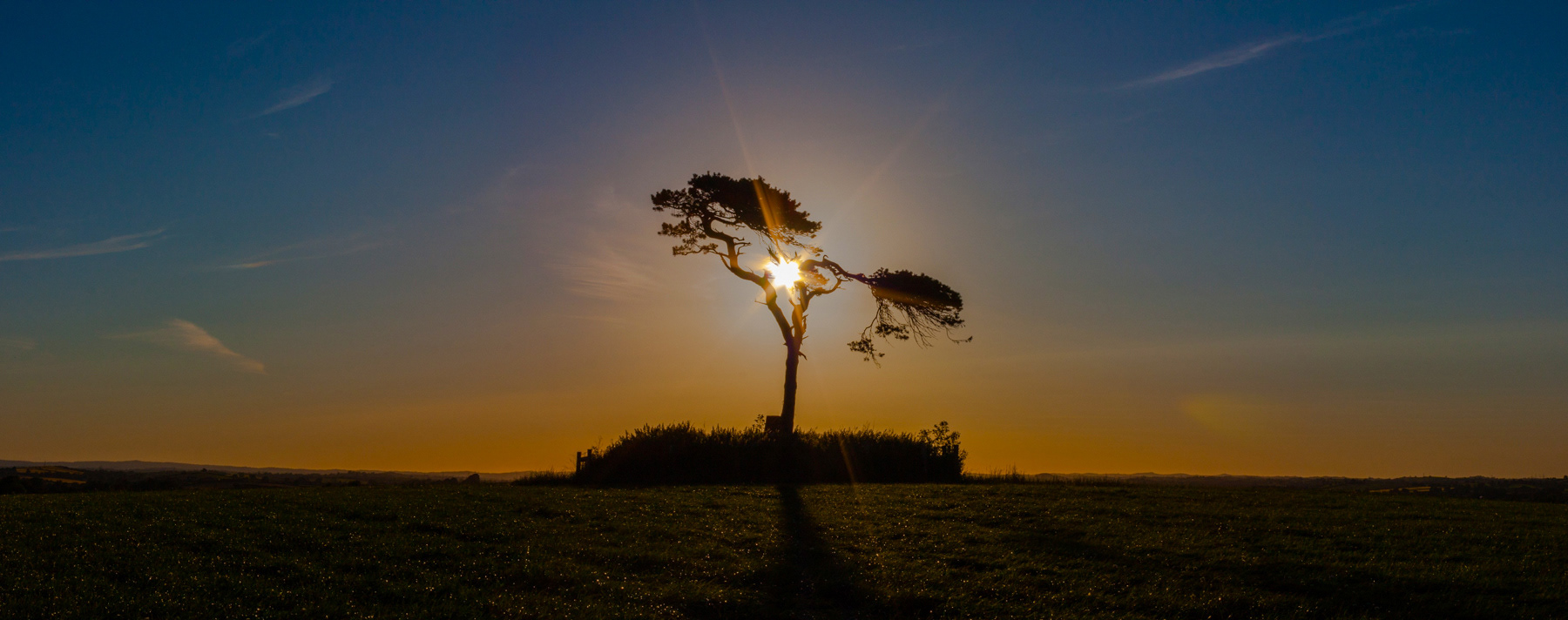 Panorama Fairy Tree