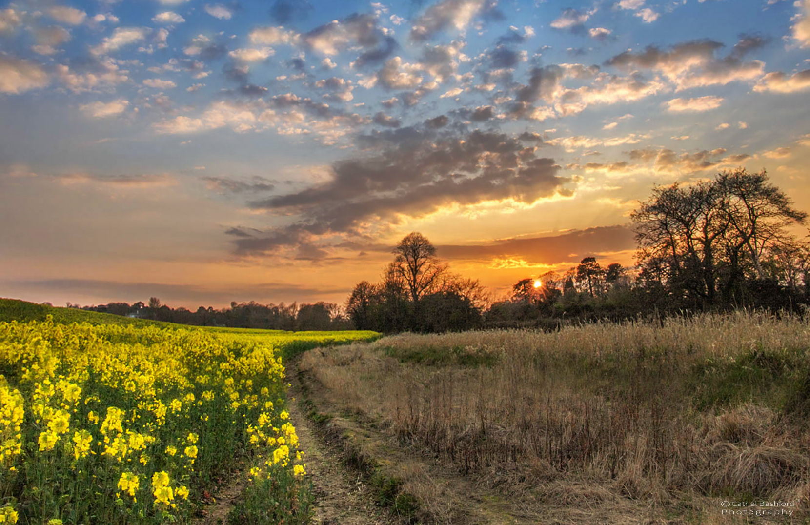 Country Walk