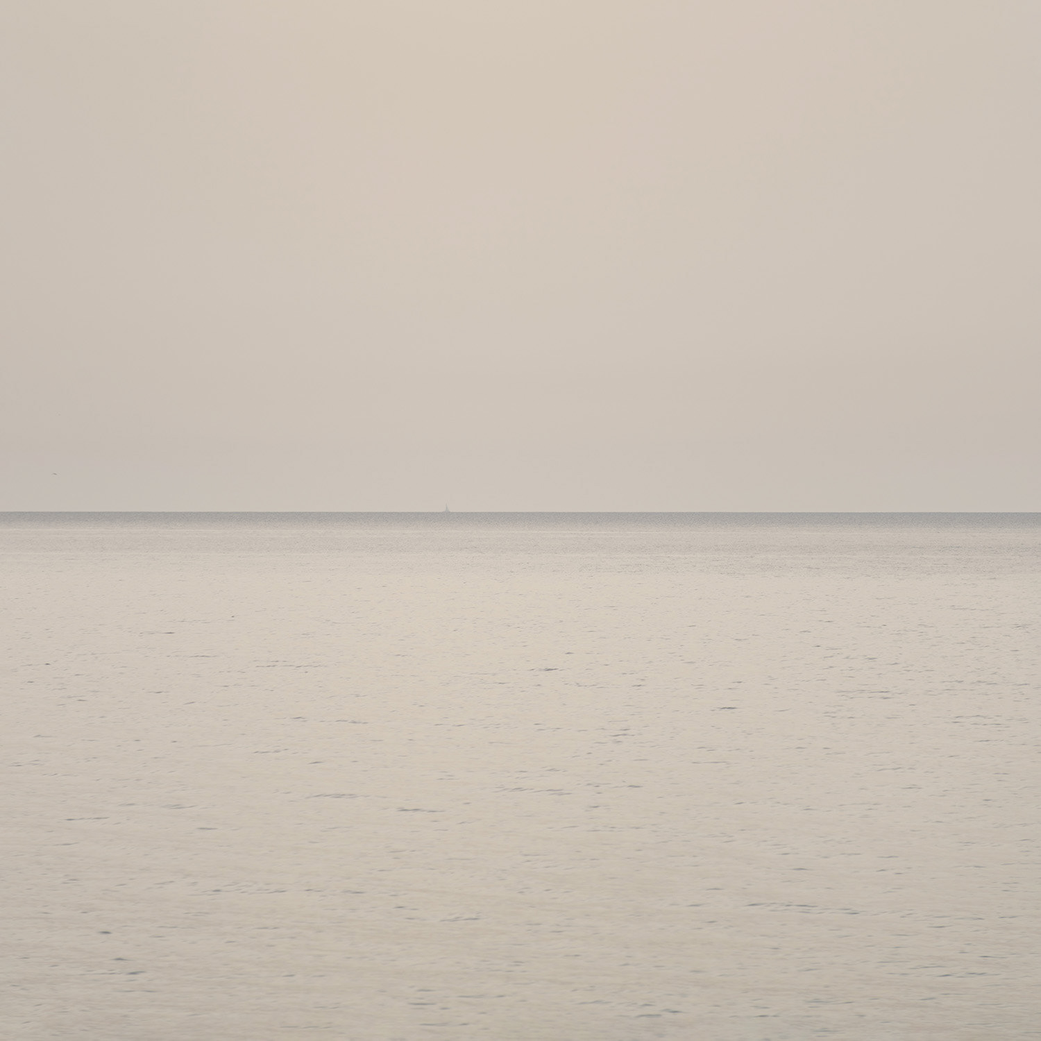 Horizon 1 D Format L 0.50 m x H 0.50 m Été 2016