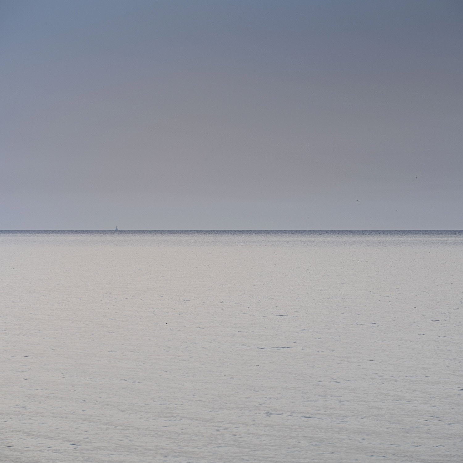 Horizon 1 C Format L 0.50 m x H 0.50 m Été 2016