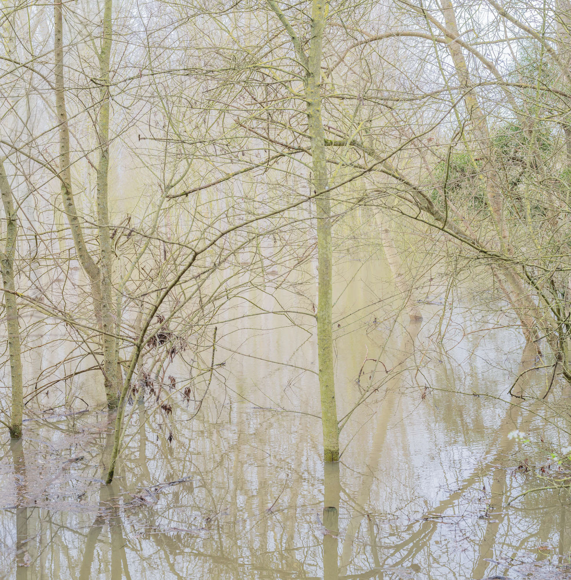 En pensant à Corot 2  Format L 0.59 m x H 0.60 m caisse américaine noire L 0. 65 m x  H 0.66 m