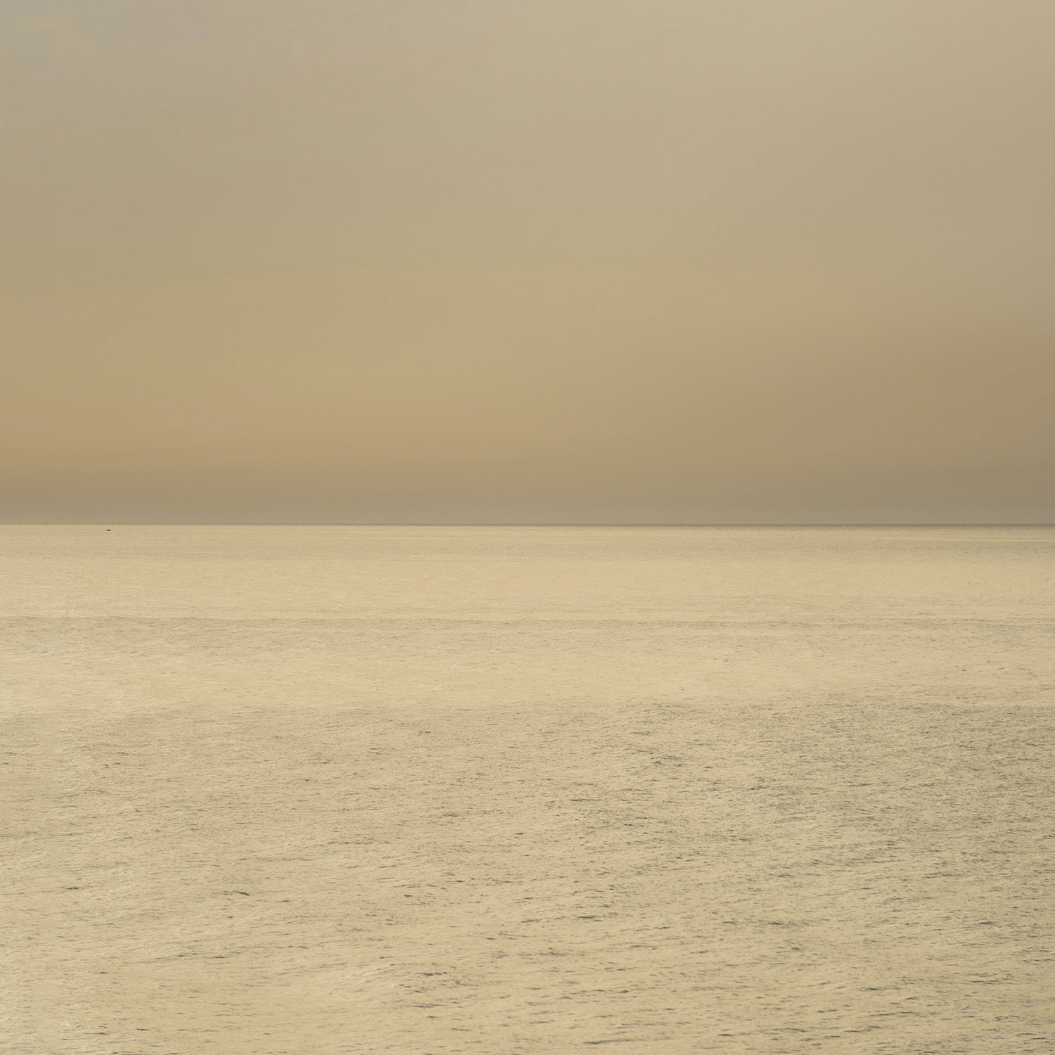 Horizon 2 A Format L 0.60 m x H 0.60 m Été 2016