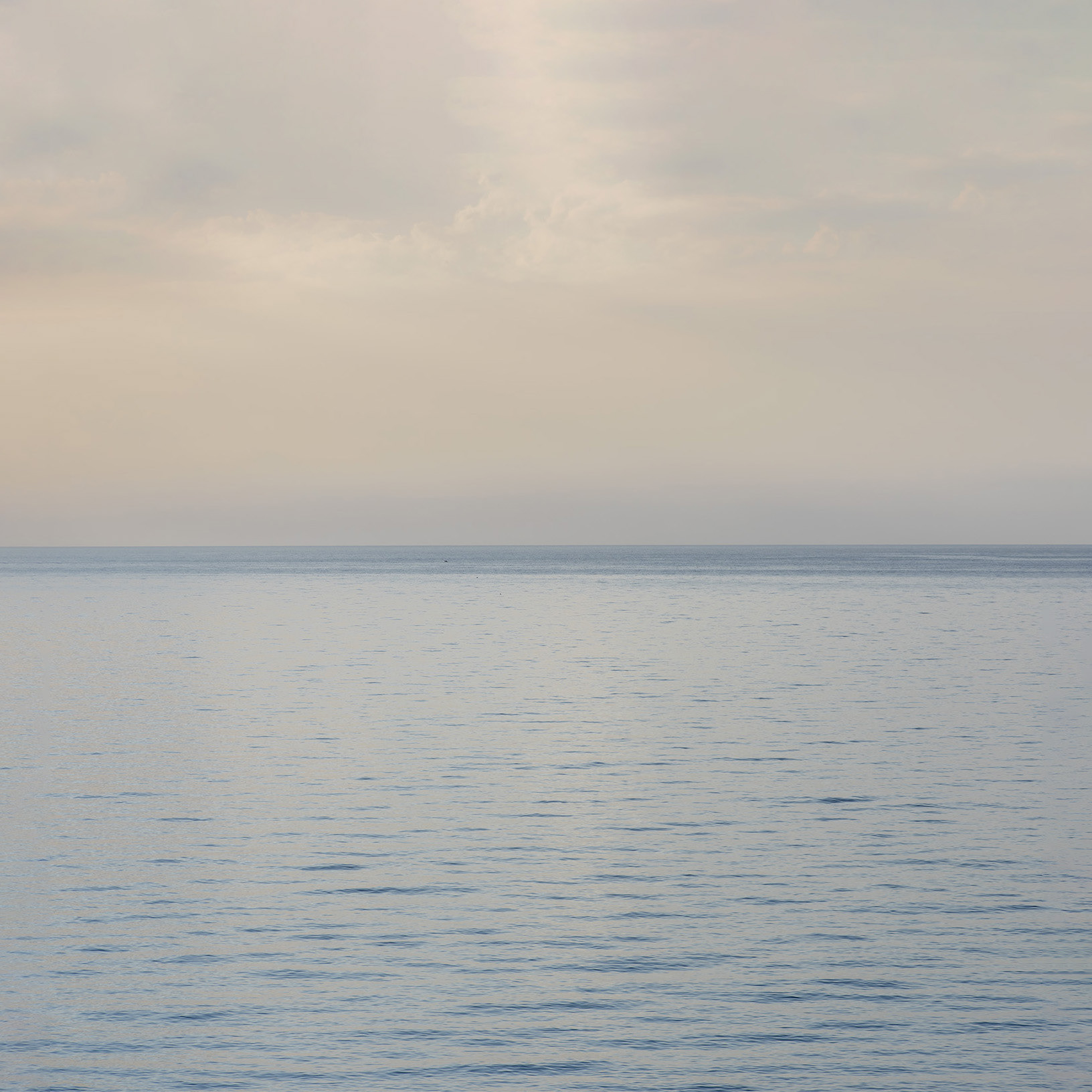 Horizon 10 C Format L 0.60 m x H 0.60 m Été 2016