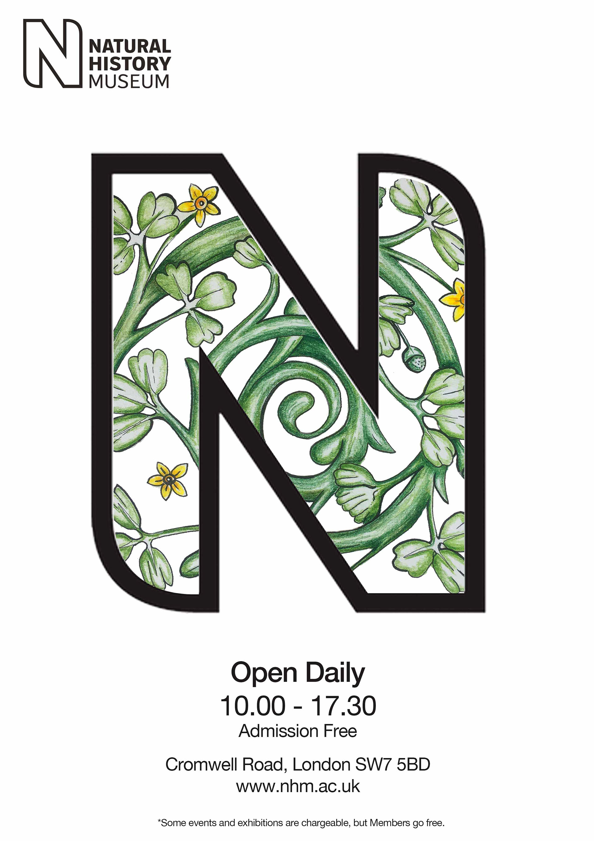 National History Museum hand drawn elements by The Mini Media Company Elida Fidler 