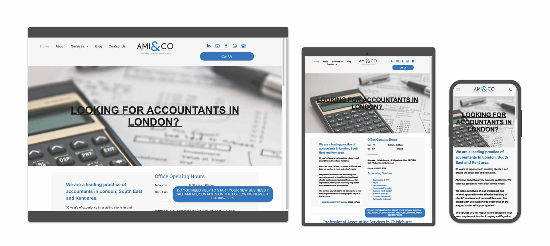 AMI and Co Accountants webdesign by The Mini Media Company Elida Fidler 
