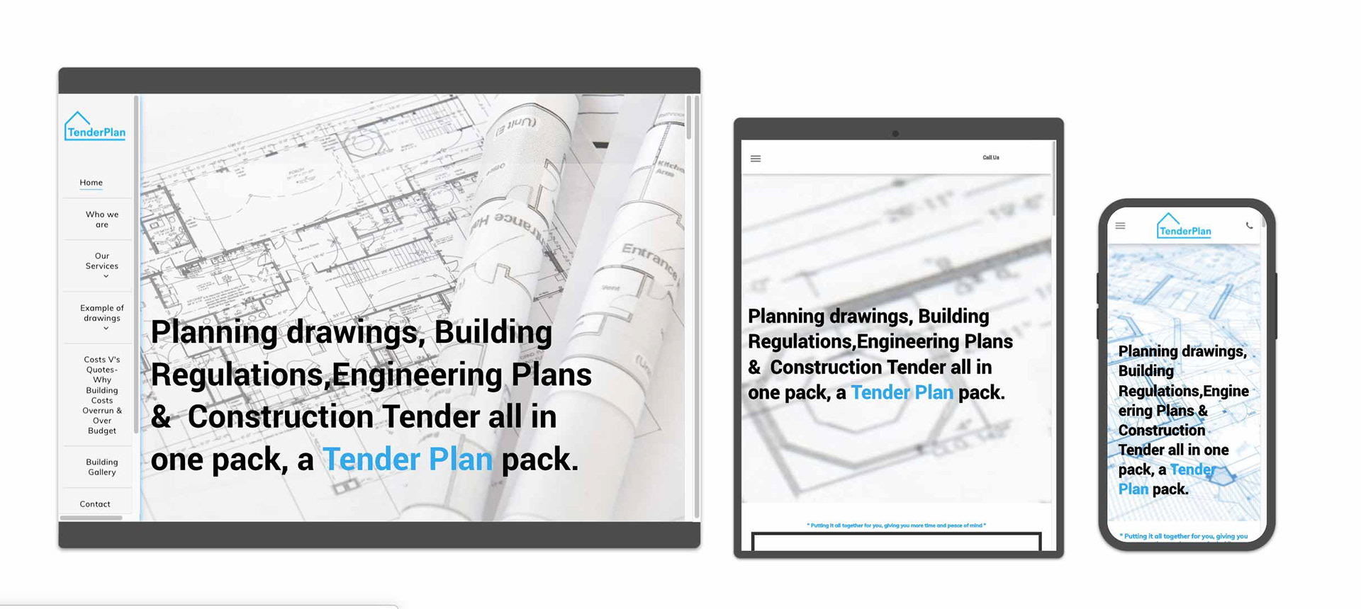 The Tenderplan website by The Mini Media Company Elida Fidler 