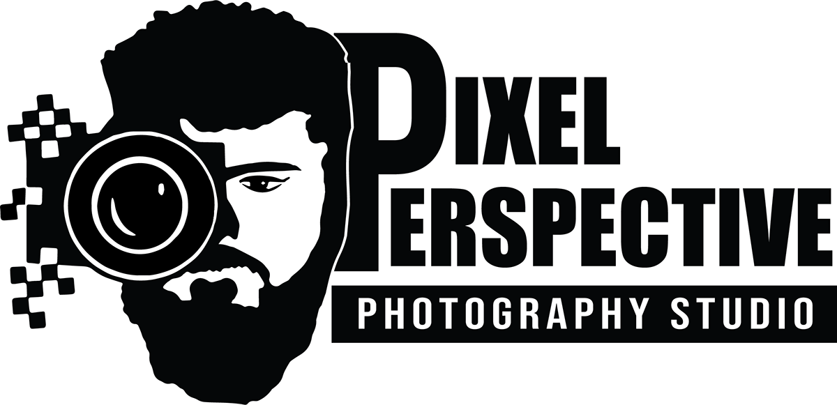 Pixel Perspective portfolio image 3