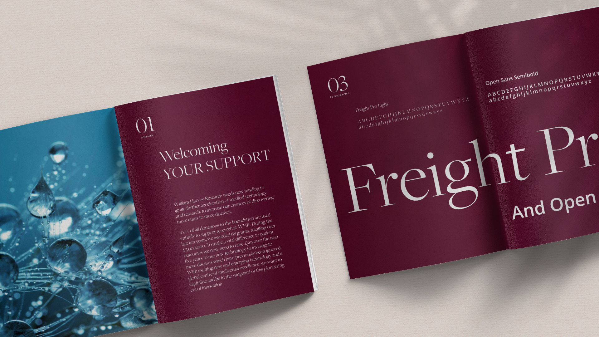 brand guidelines for campaign