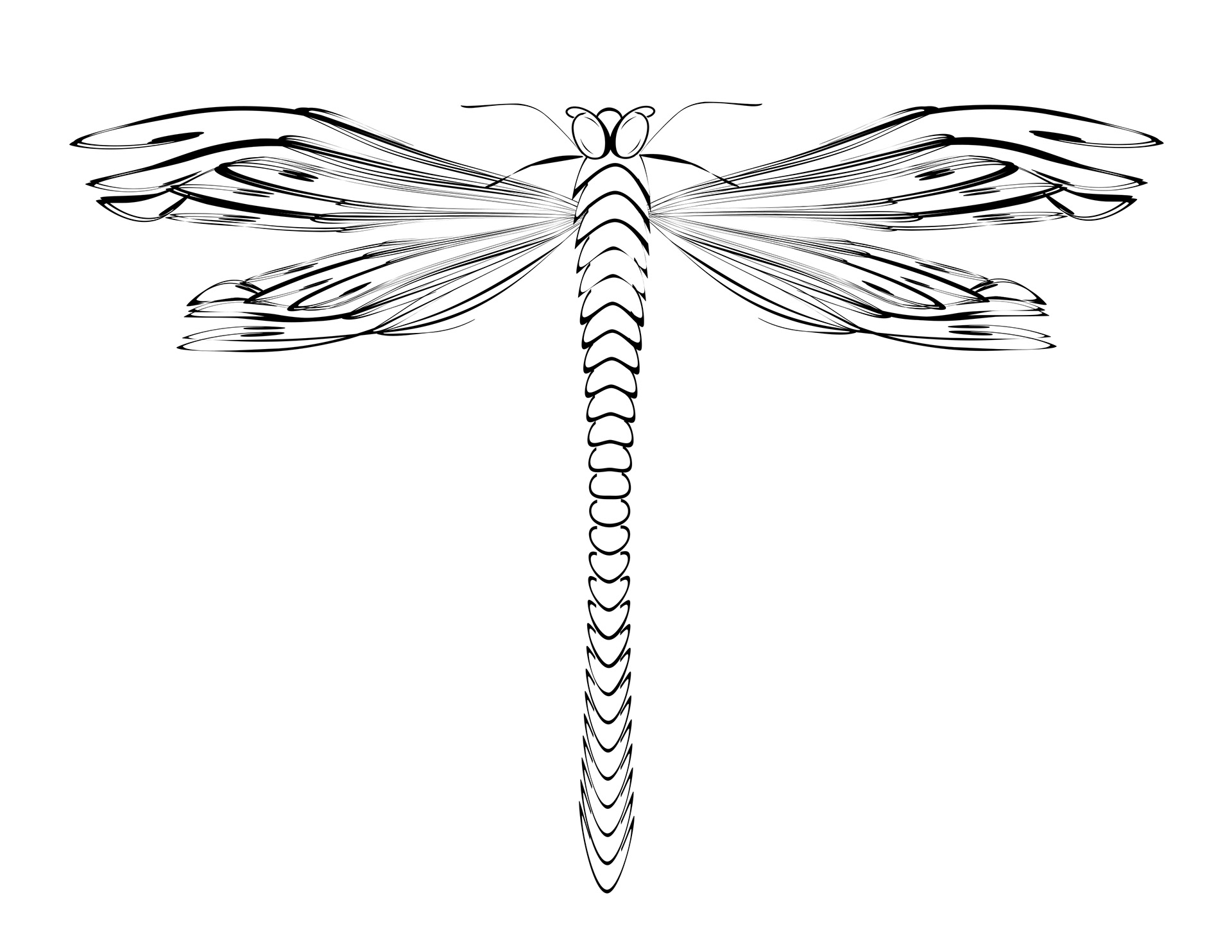 Illustrator font art