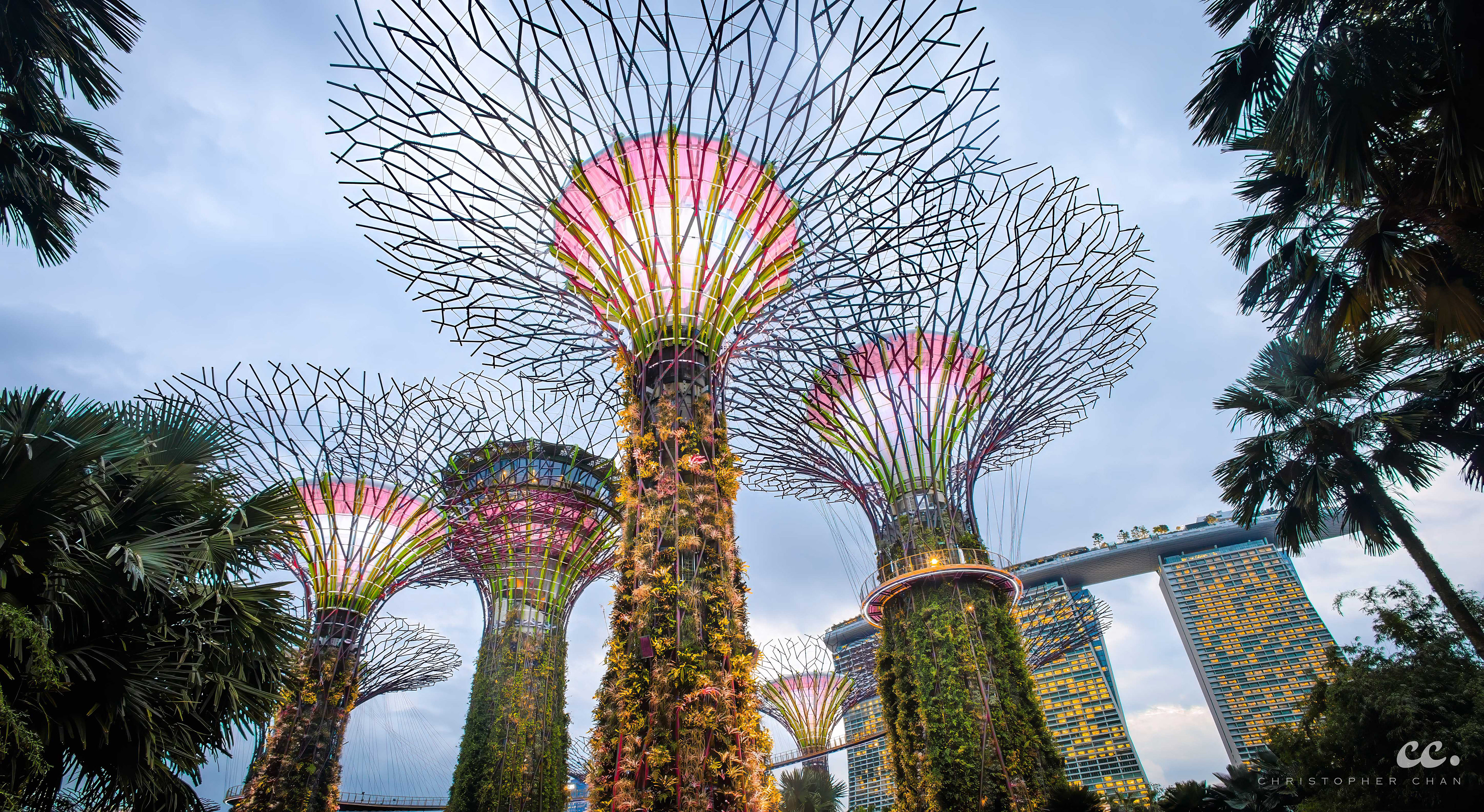 Nature Meets Innovation: The Iconic Supertree Grove at Dusk