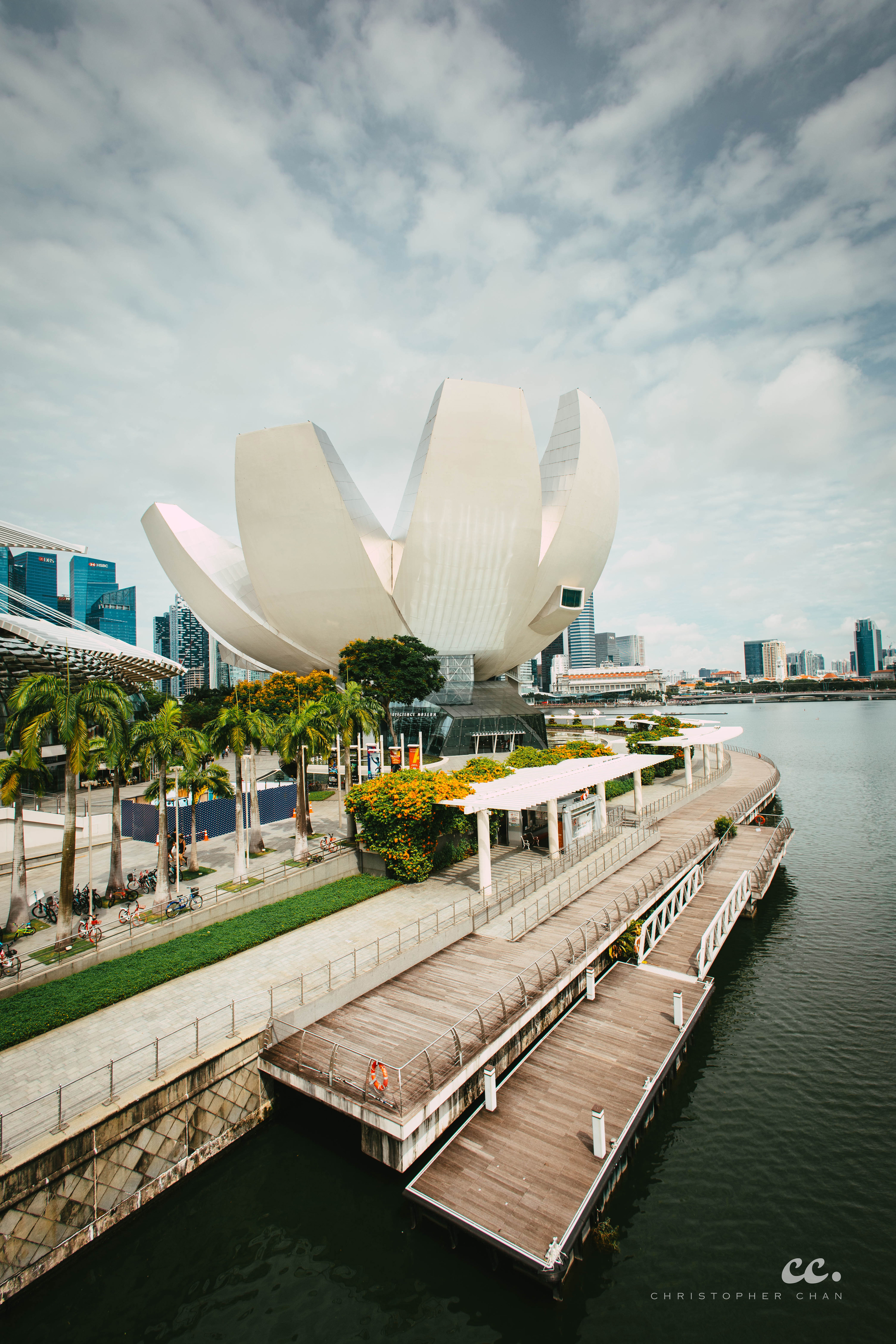 Blossoming Design: A Landmark by the Bay