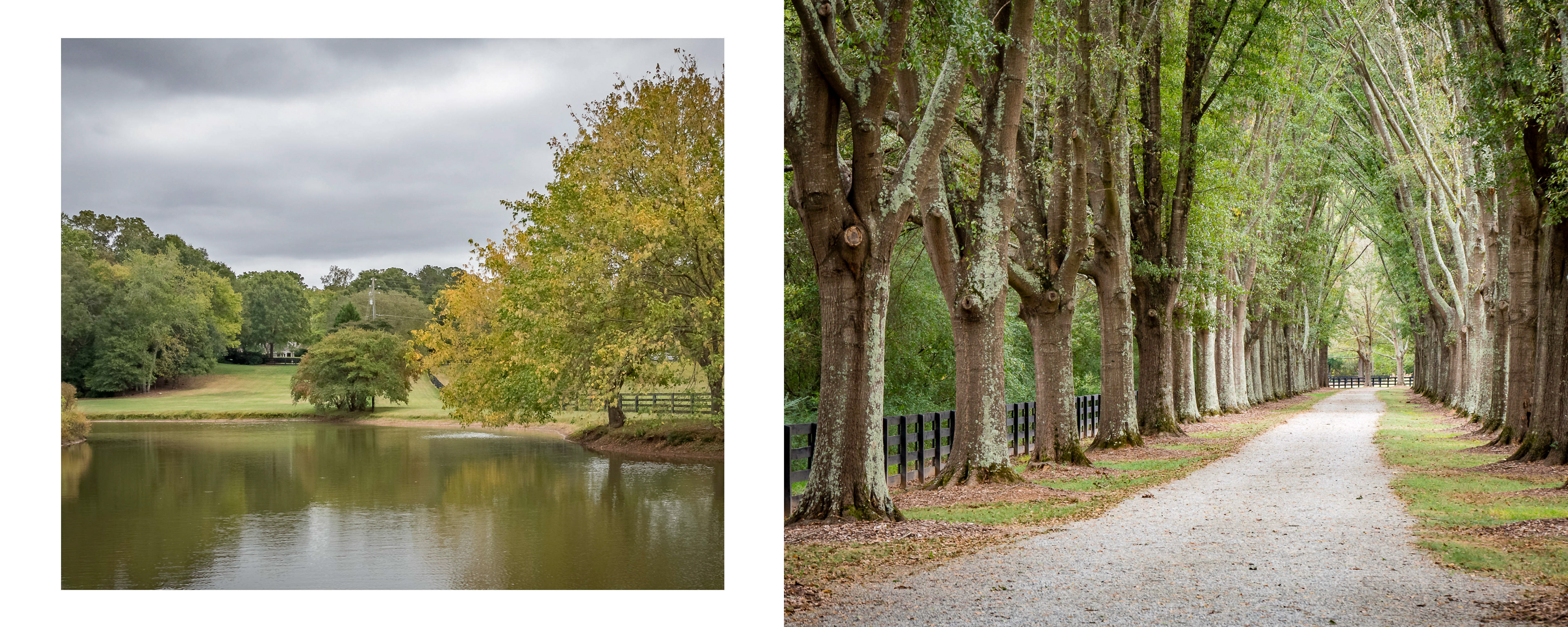 North Valley Pond and Tree-Lined Path