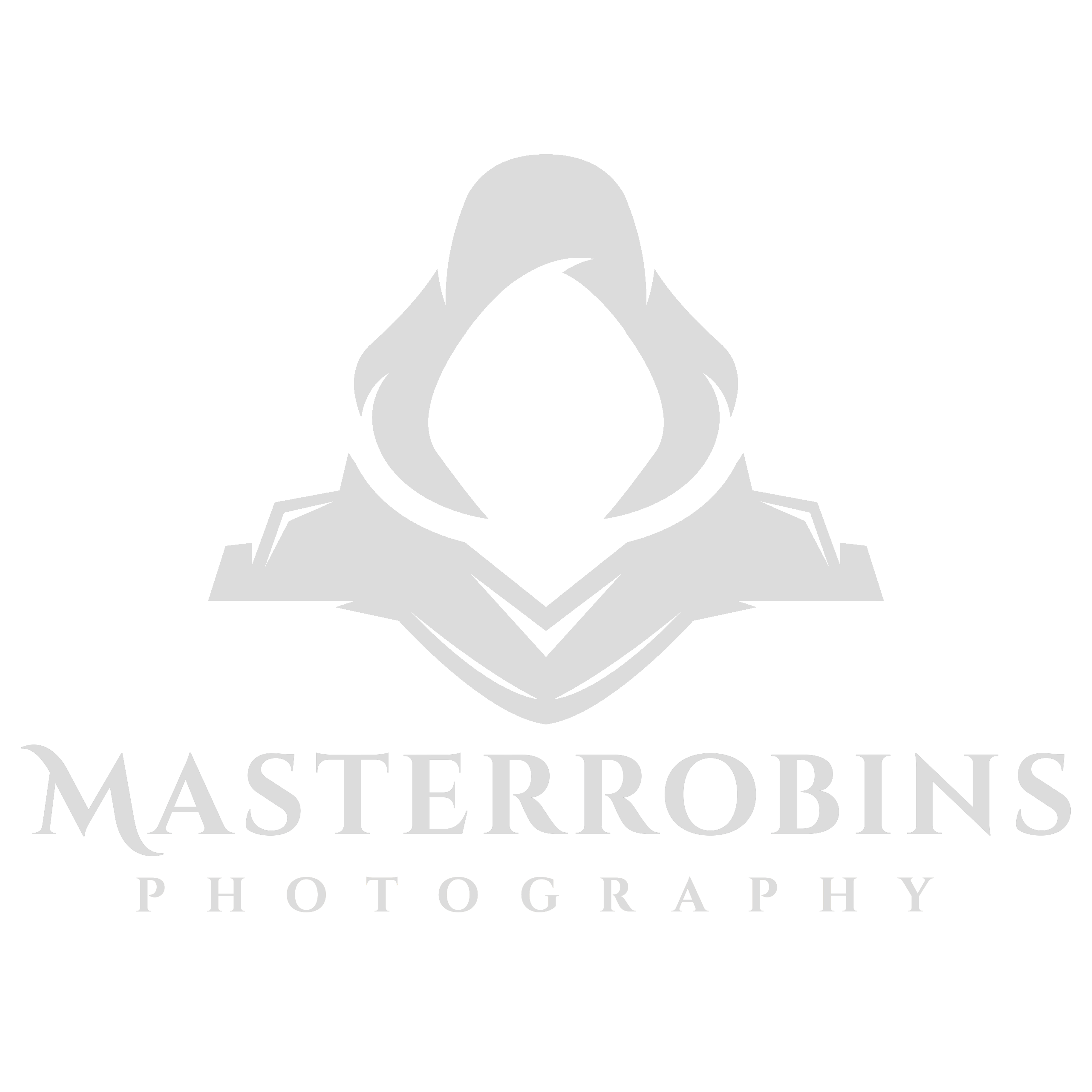 MasterRobins Photography