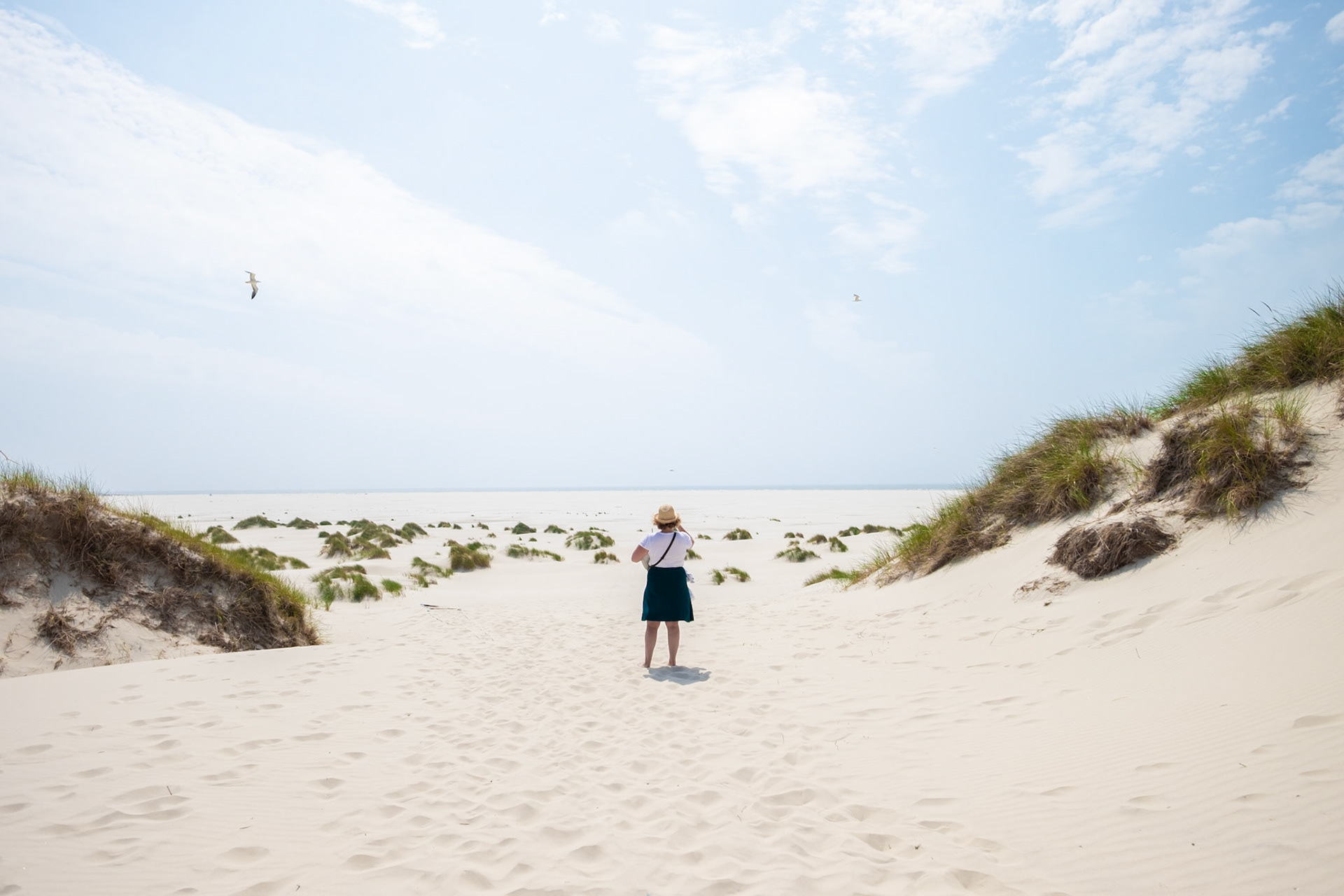 a woman at the gate of a beach looking like a desert