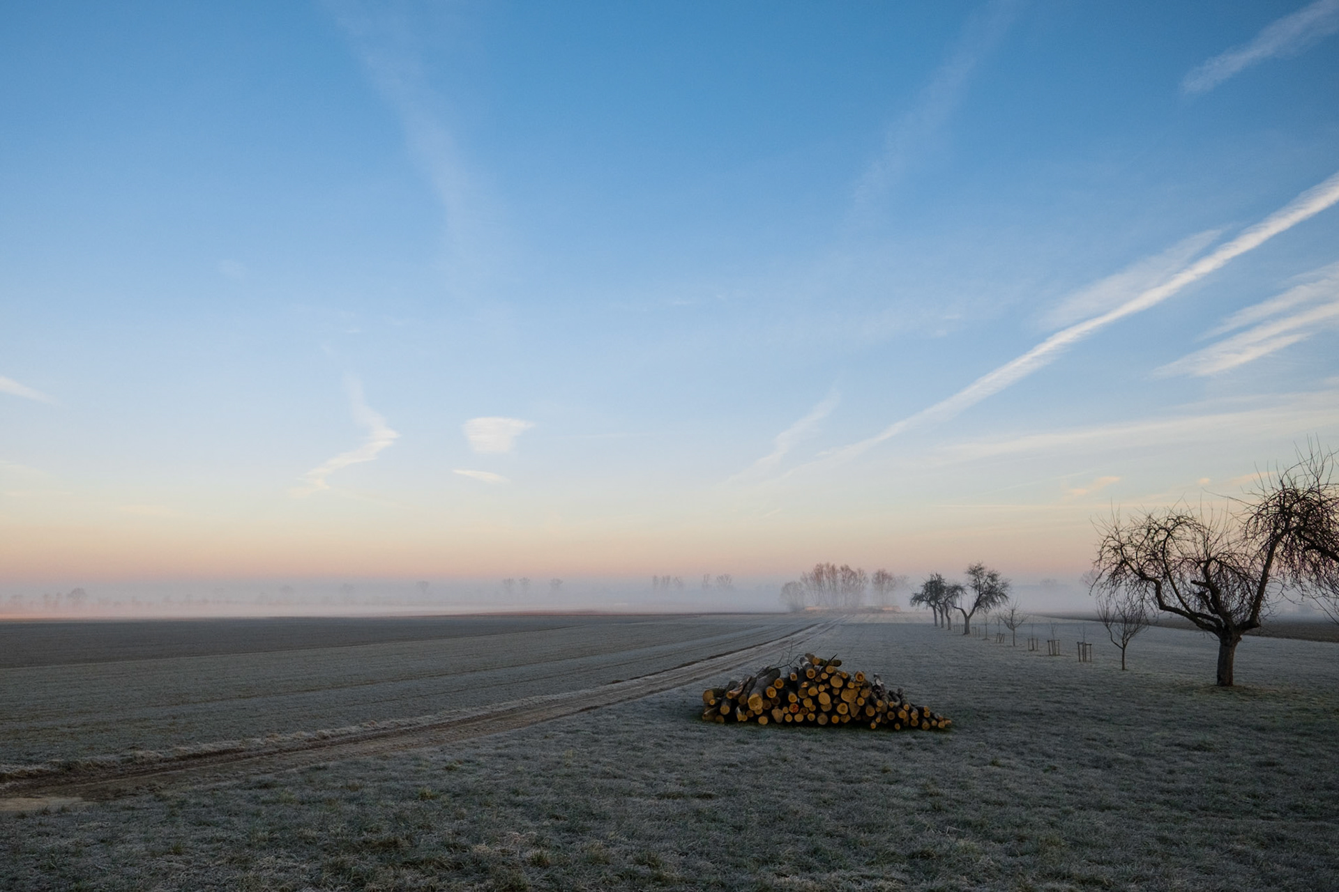 Morning fog during sunrise in Eppisburg, Germany