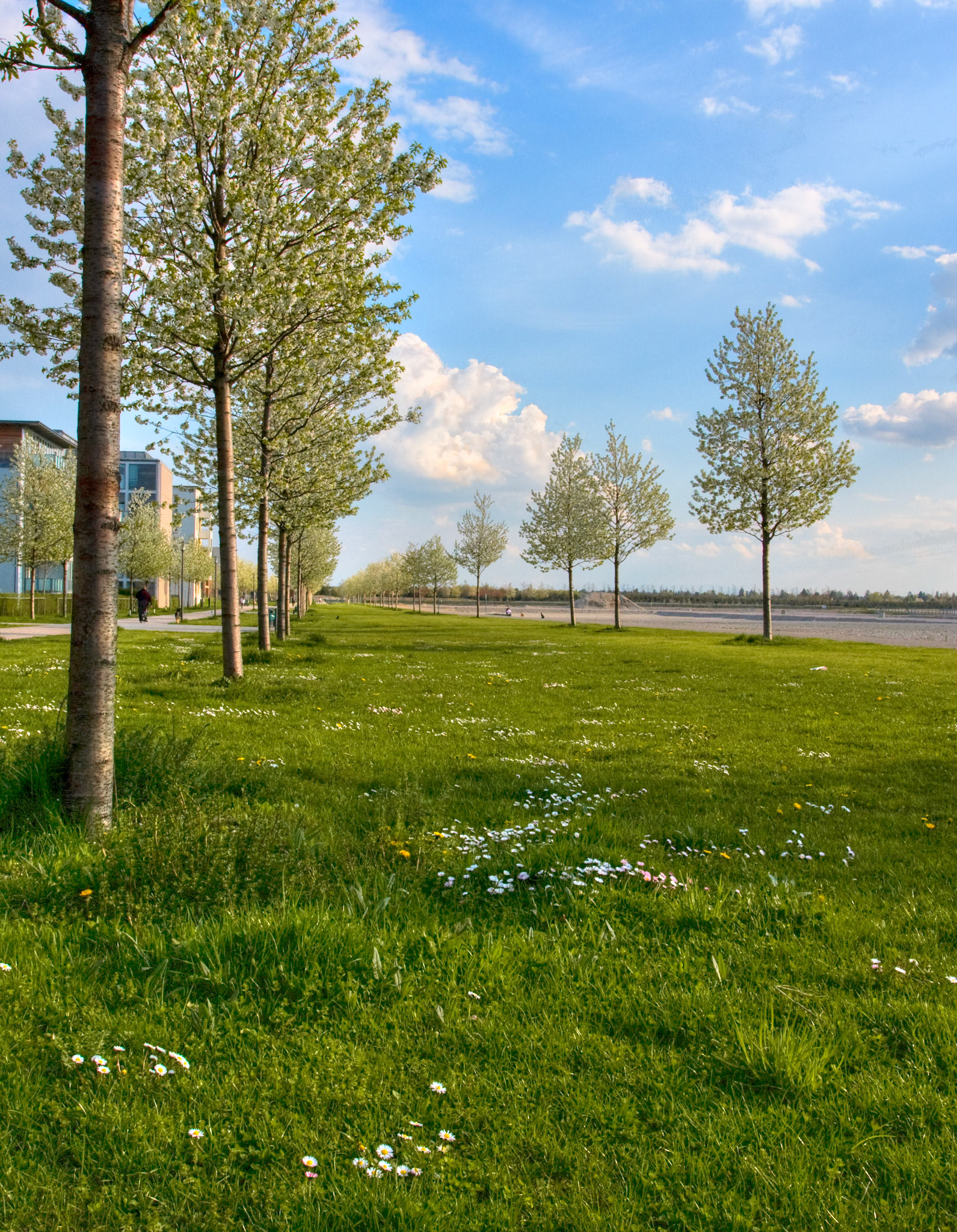 Spring