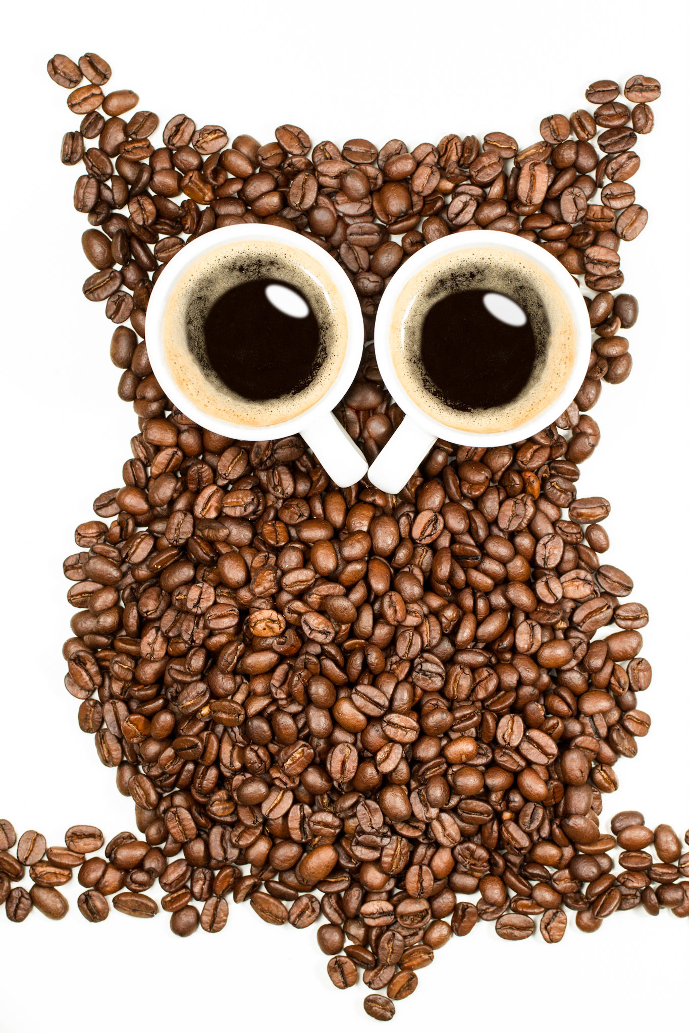 Coffee Owl