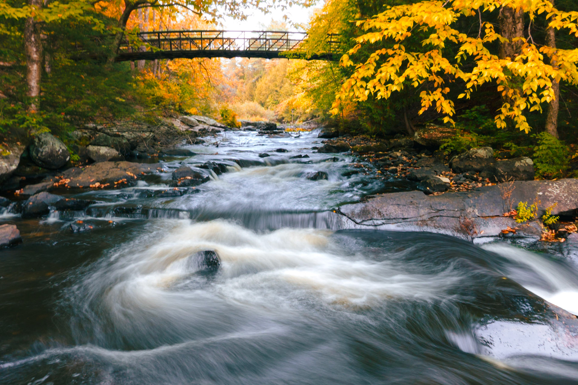 We drove 3 hours north to chase the early colours of fall — a full week ahead of Toronto’s season. The reward: a cascade framed in reds and golds. Shot handheld at a 1-second exposure, since I left the tripod behind on this hike.