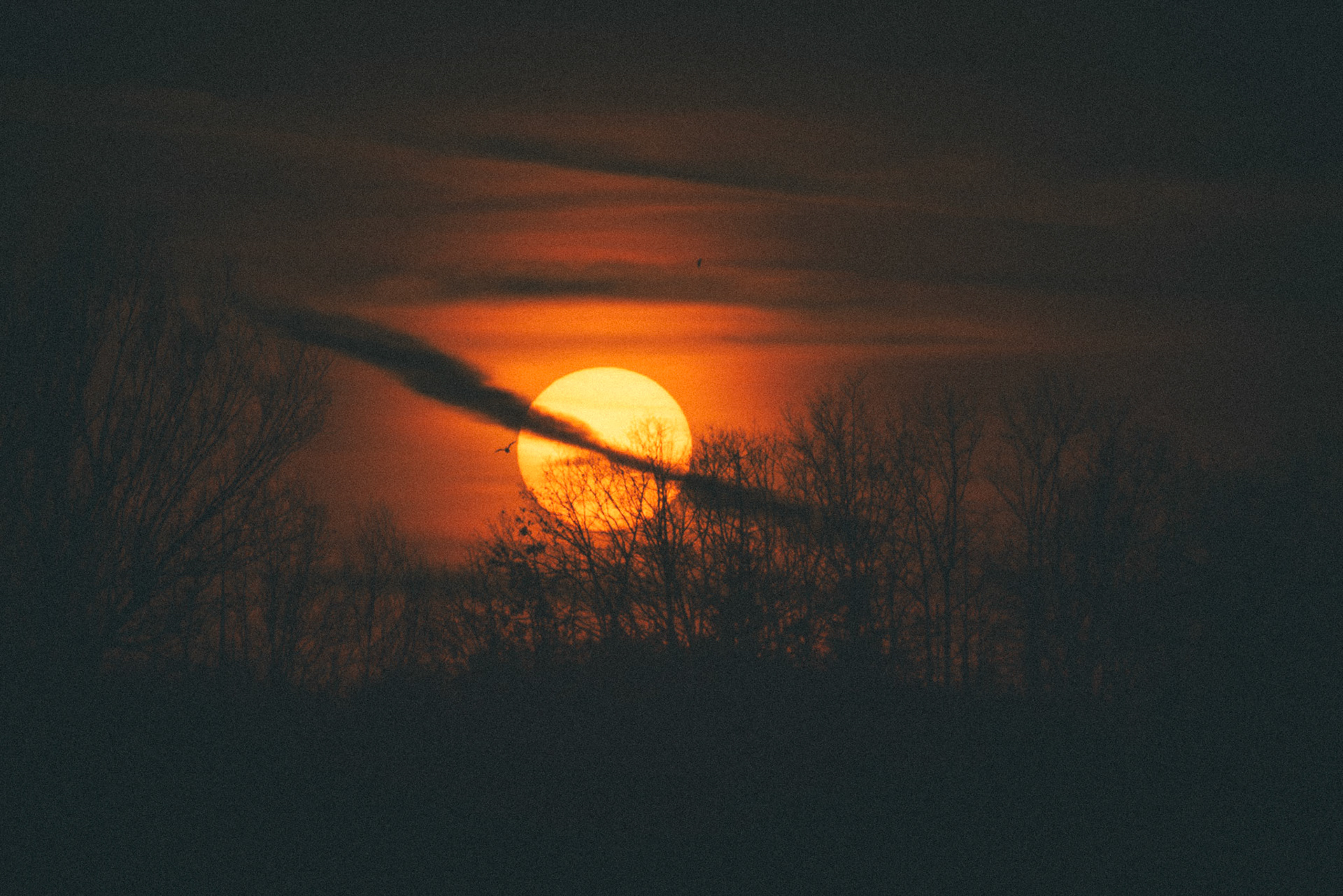 Winter Sunset