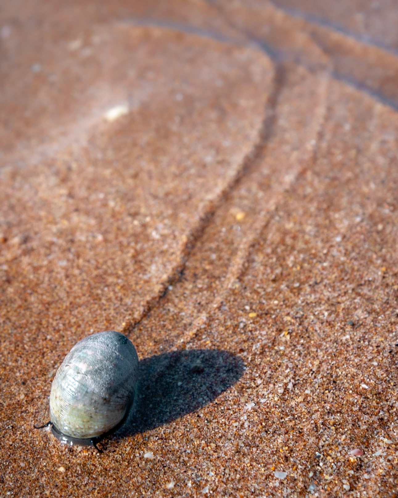 Hormoz Island in Iran