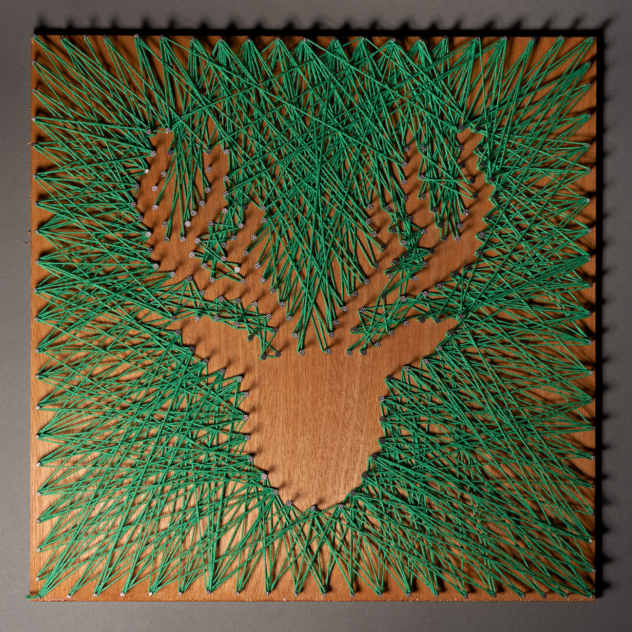LINE ART - BUCKS