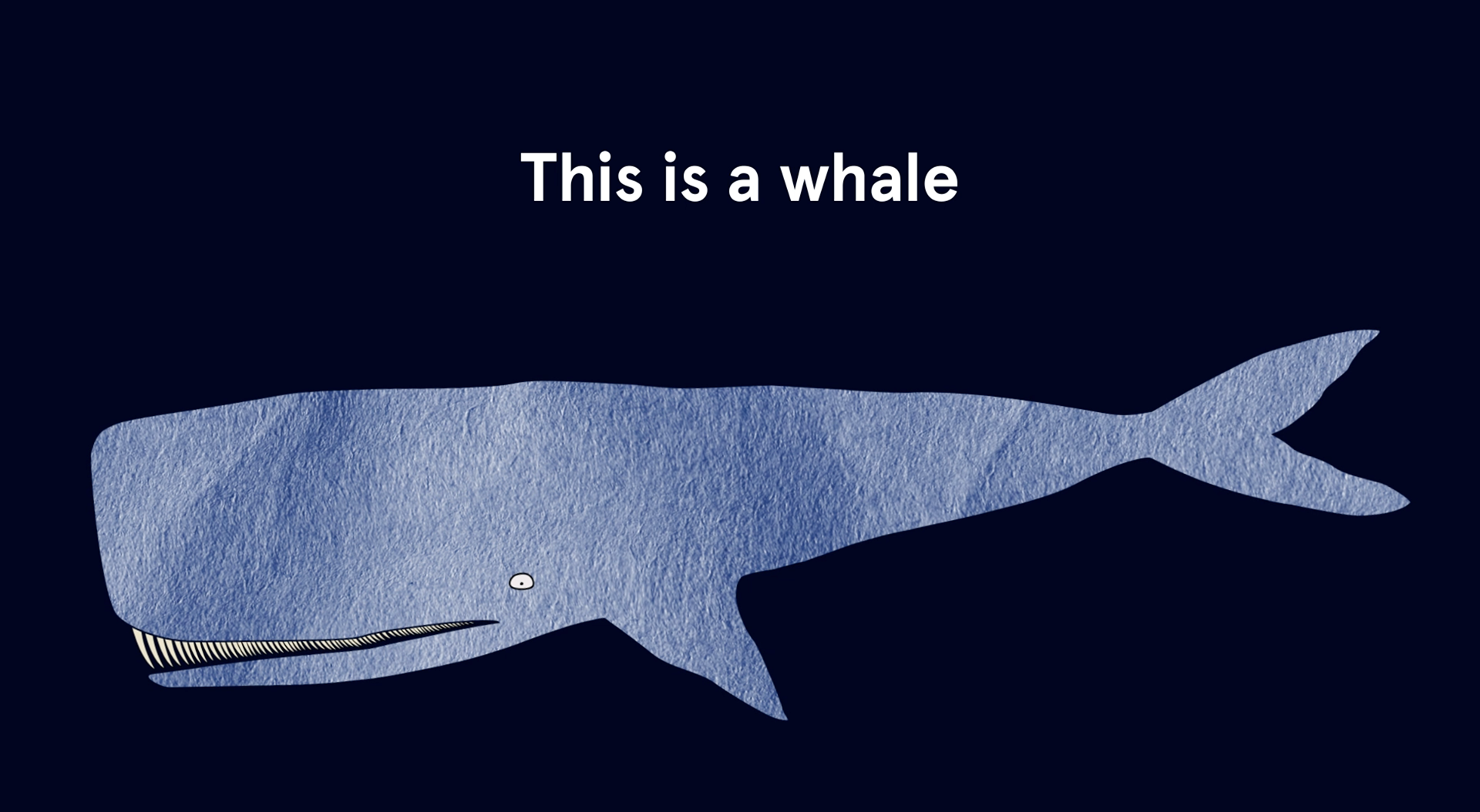 Whale, illustration, animation