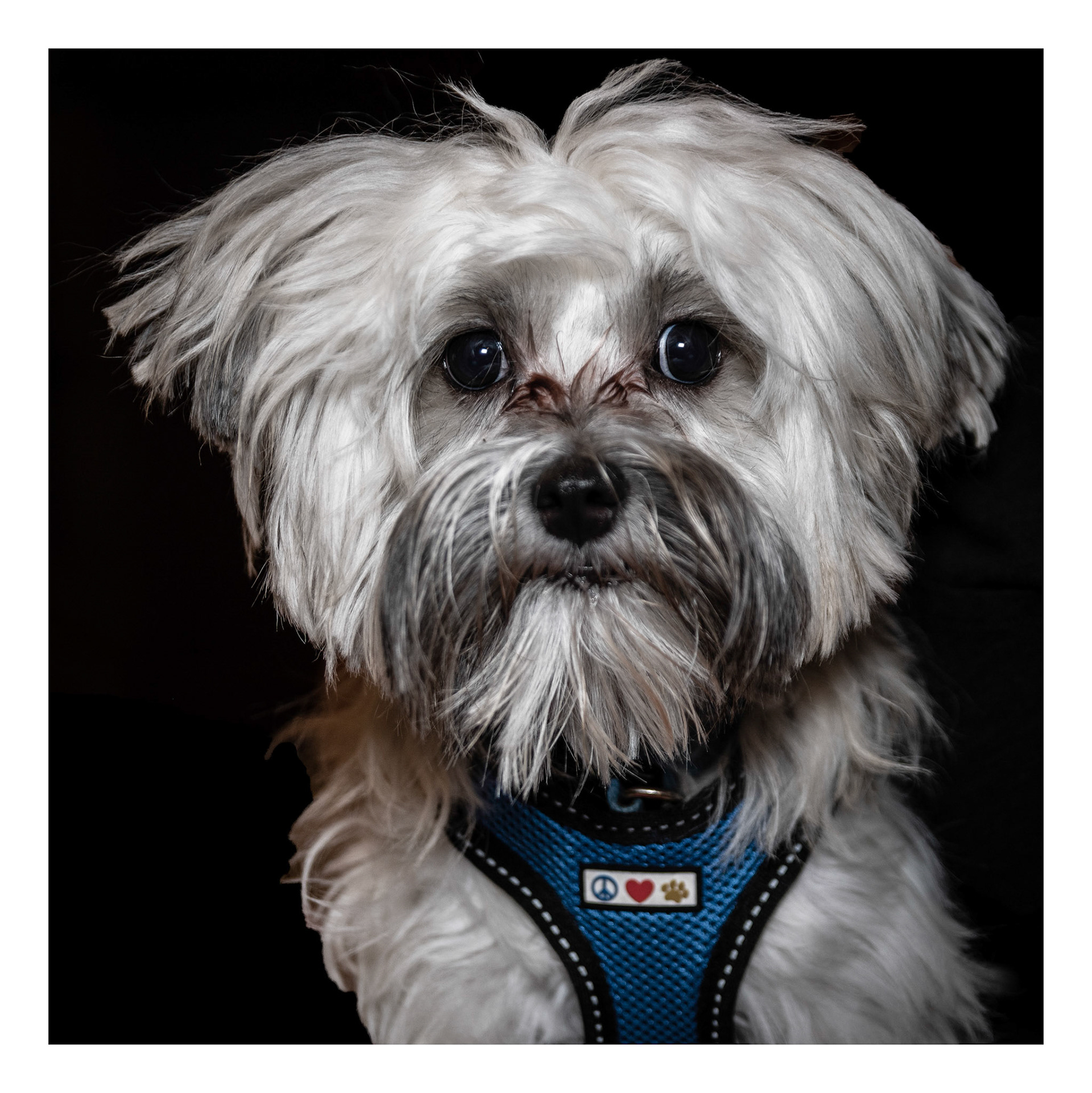 Chewy!