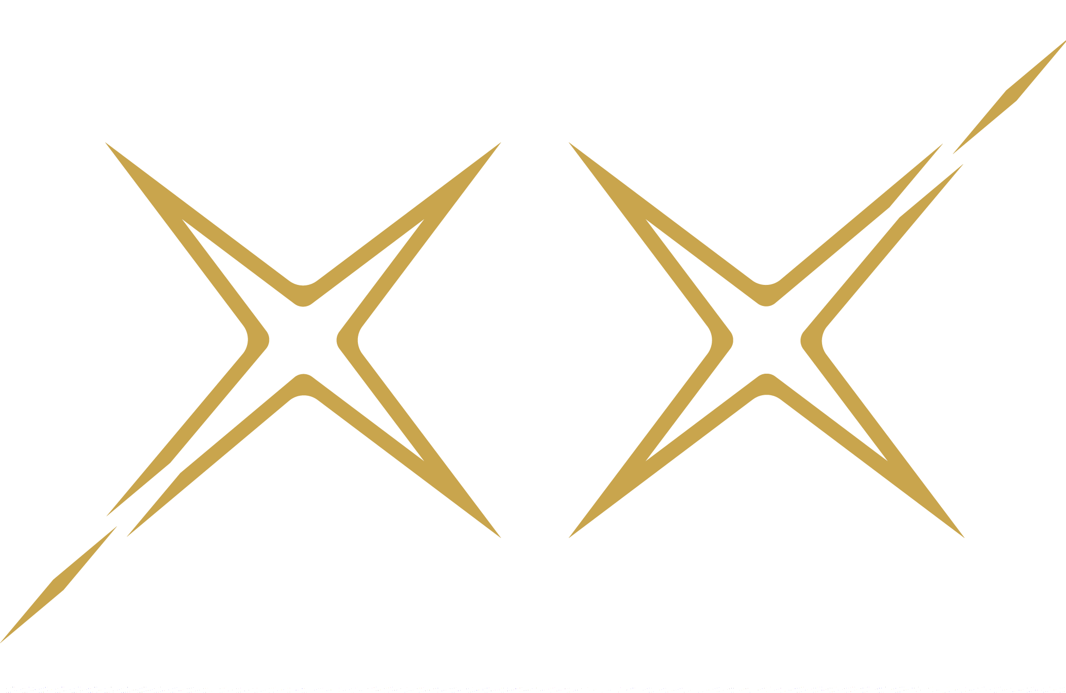 Colin Erickson "XX" Logo
