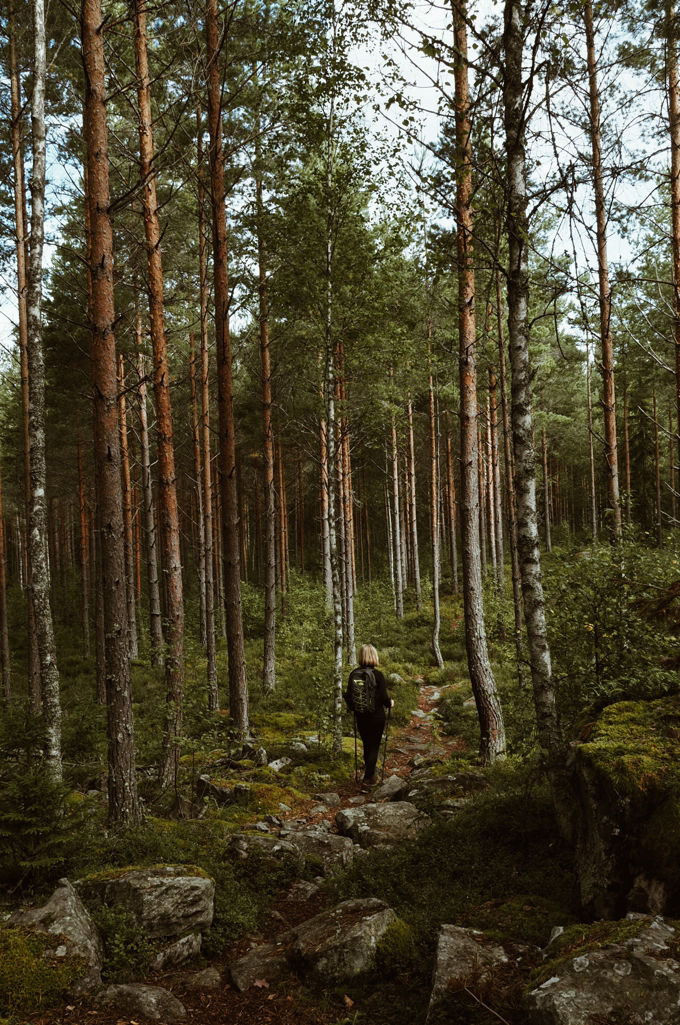 Hiken door de Zweedse natuur